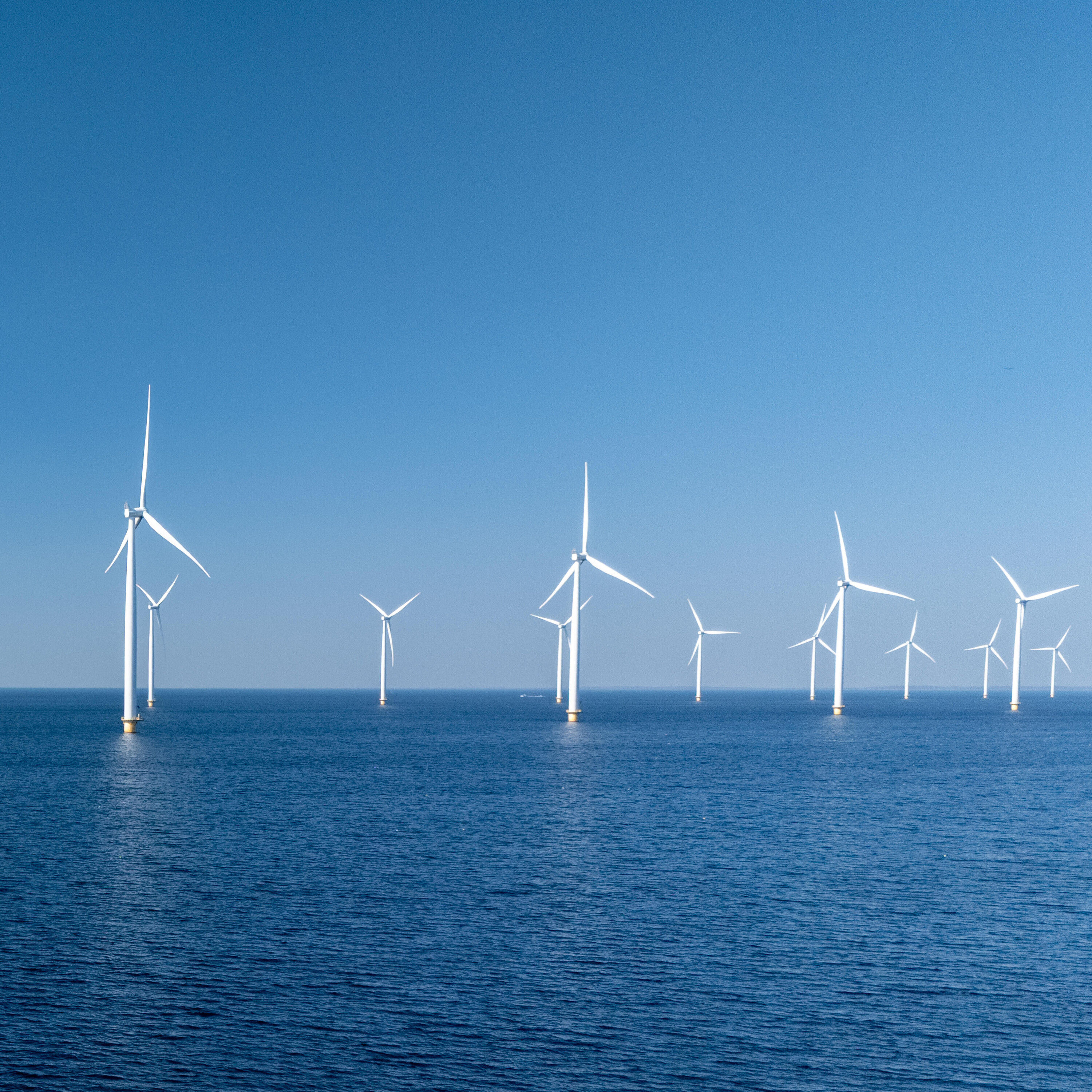 "Der Bau von Windparks auf See rechnet sich nicht mehr" - Karina Würtz (Klima-Labor)