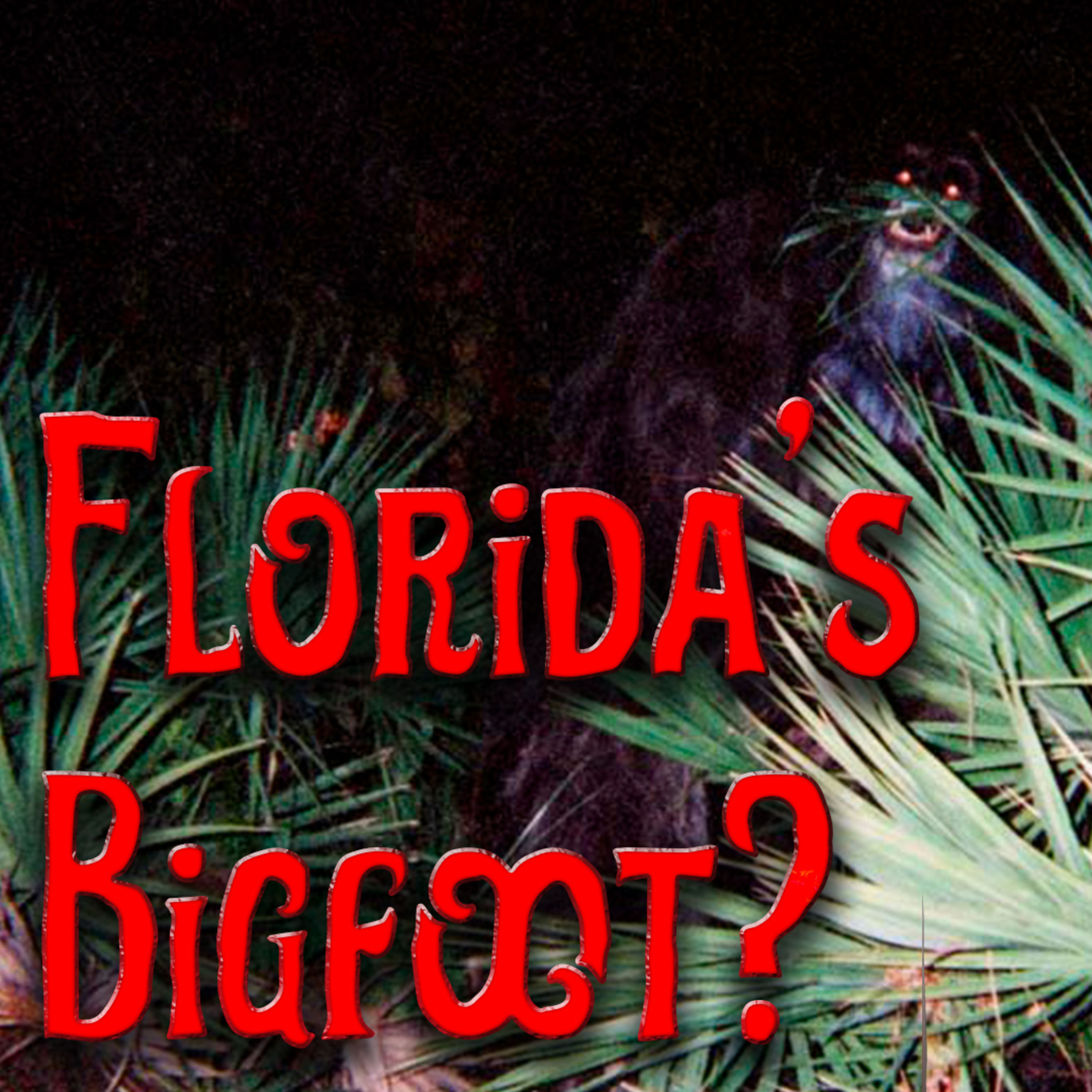 Der Bigfoot des Südens: Skunk Apes in Florida - Legende oder Realität?