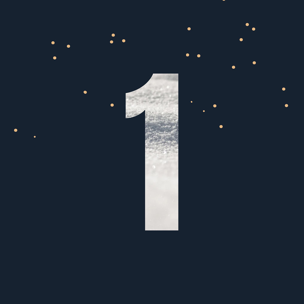 Der CRM Adventskalender-Das erste Türchen