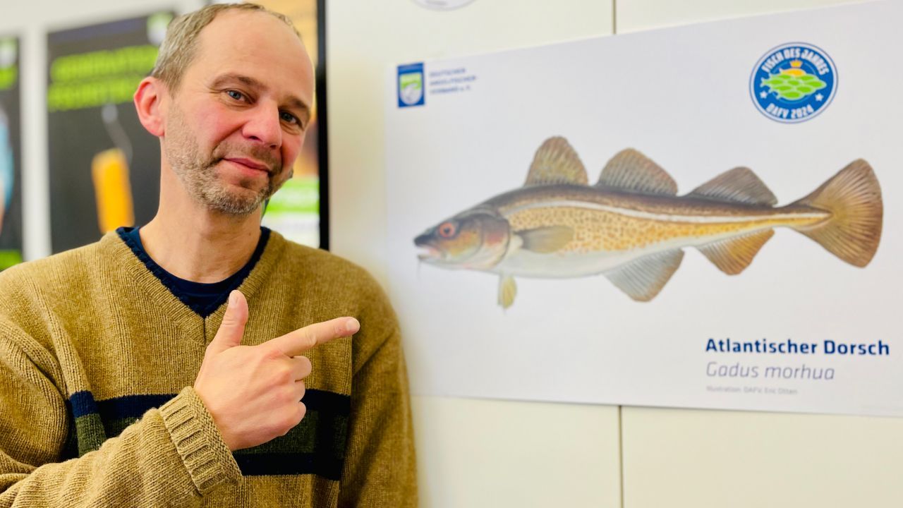 Der Dorsch ist durch - Das Drama in der Ostsee | #134