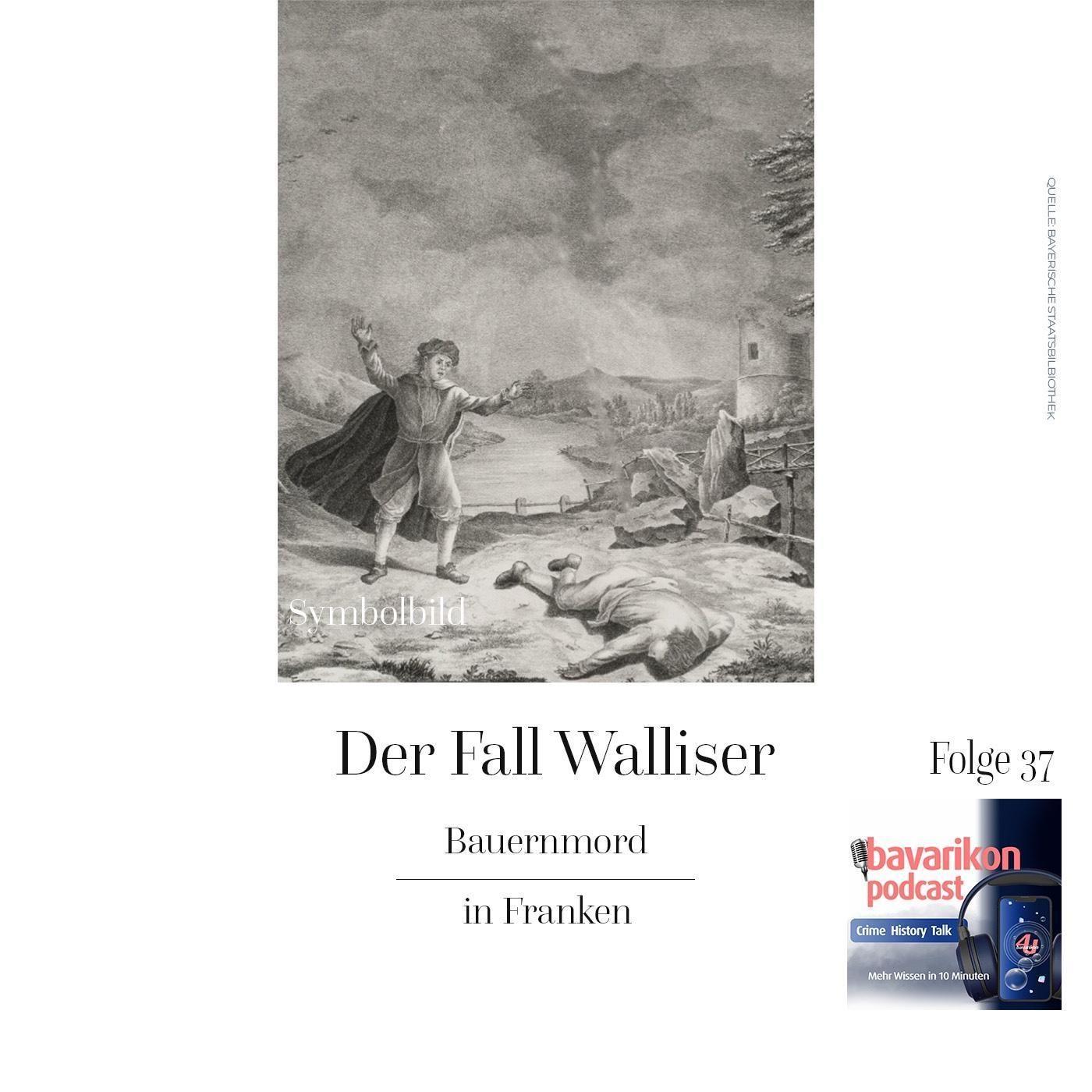 Der Fall Walliser