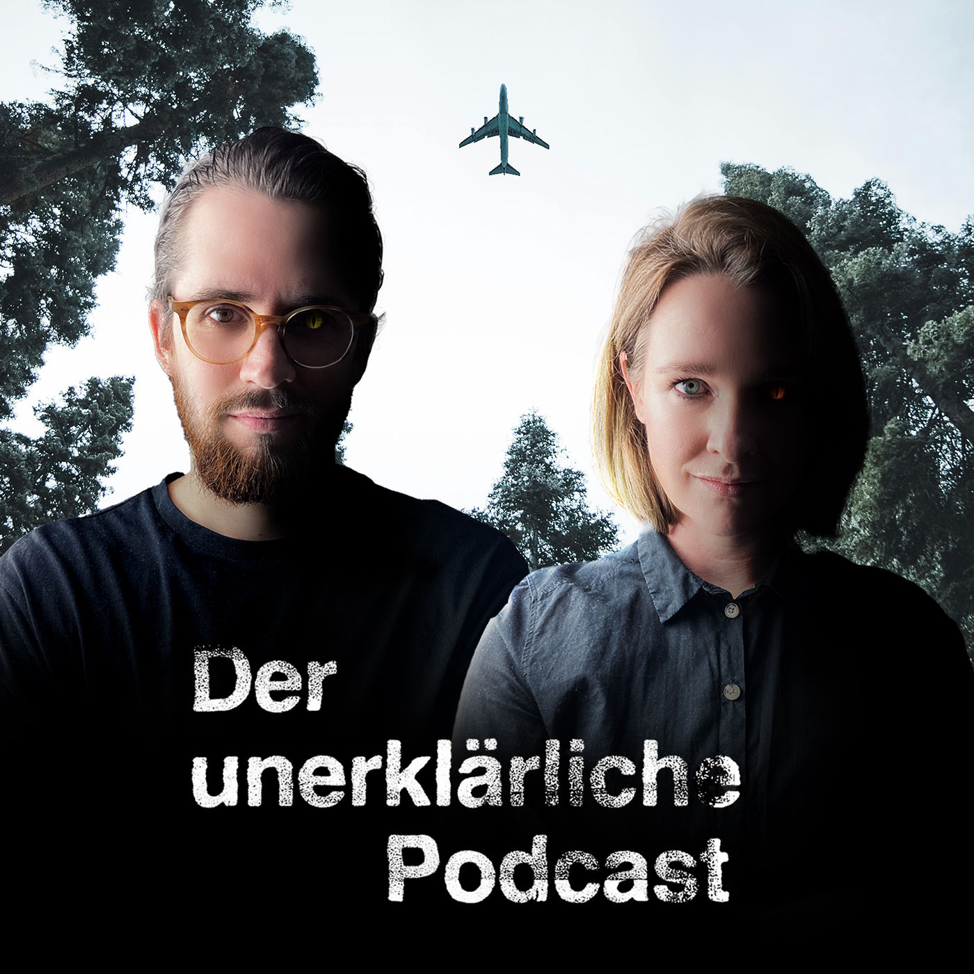 Der Flug MH370