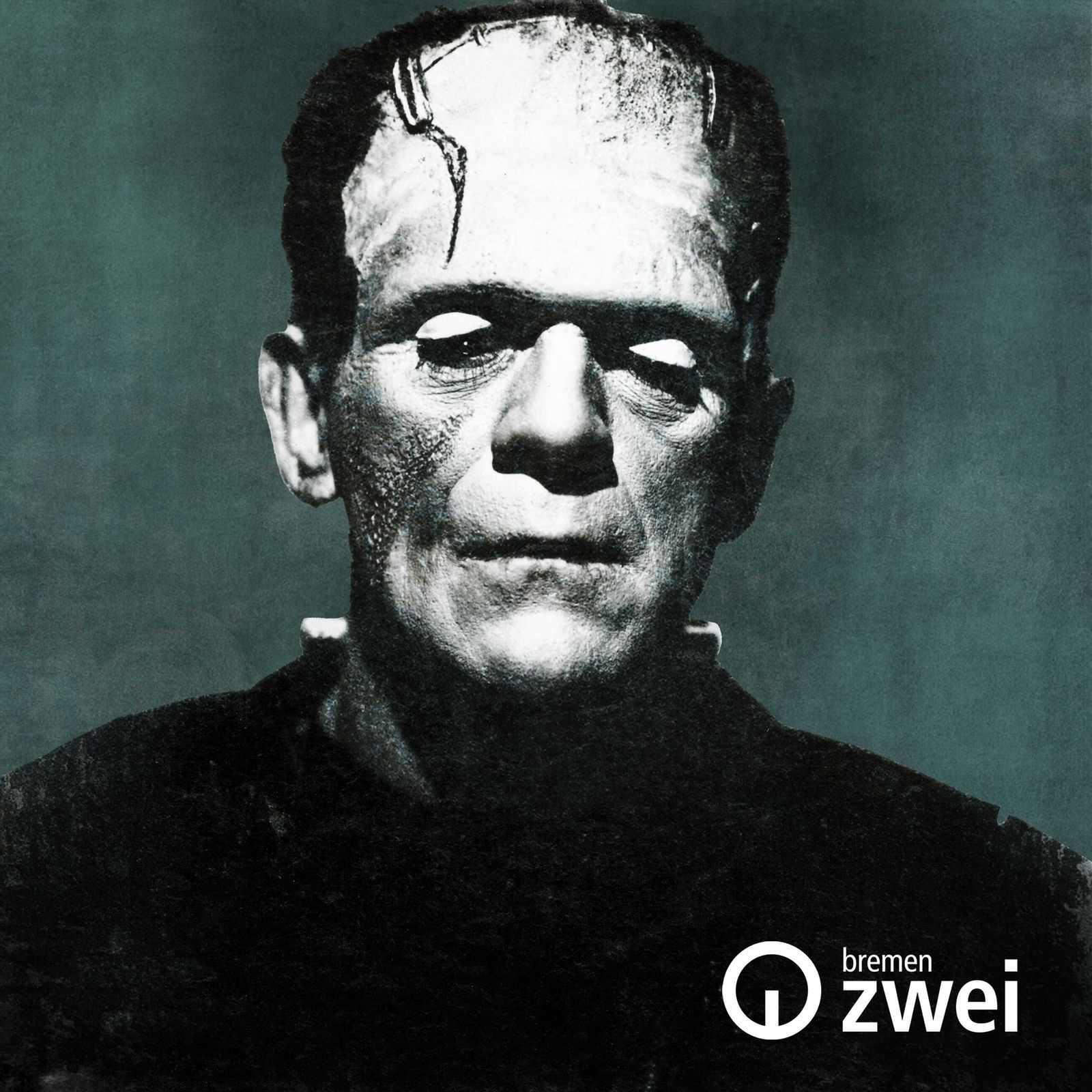 Der Frankenstein-Mythos. Eine Spurensuche in die Zukunft