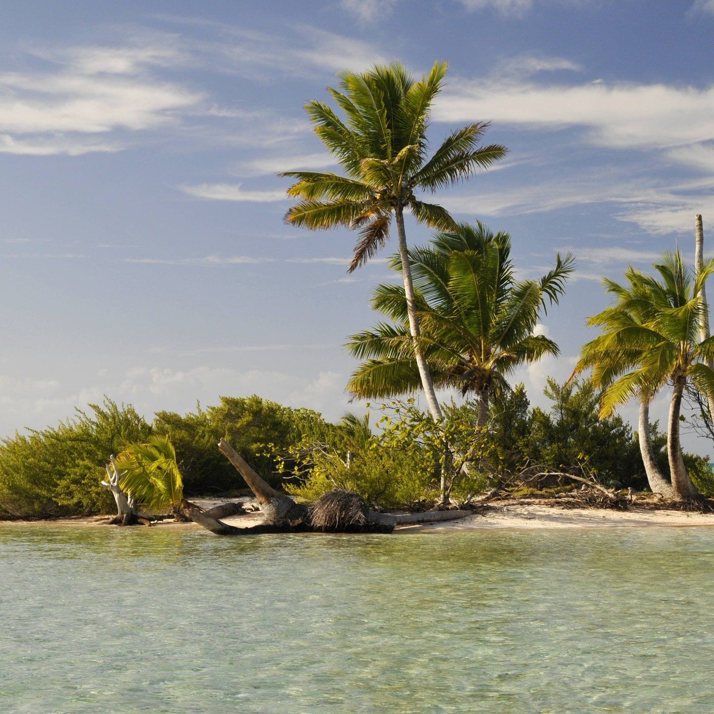 Der Freitag der 13.-Gag