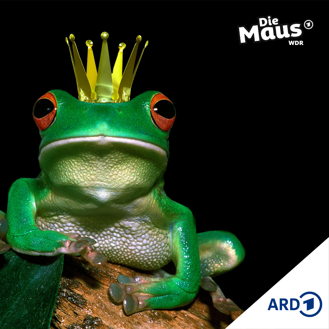 Der Frosch, der kein Prinz sein wollte (6/7) | Lustiges ab 6 Jahren