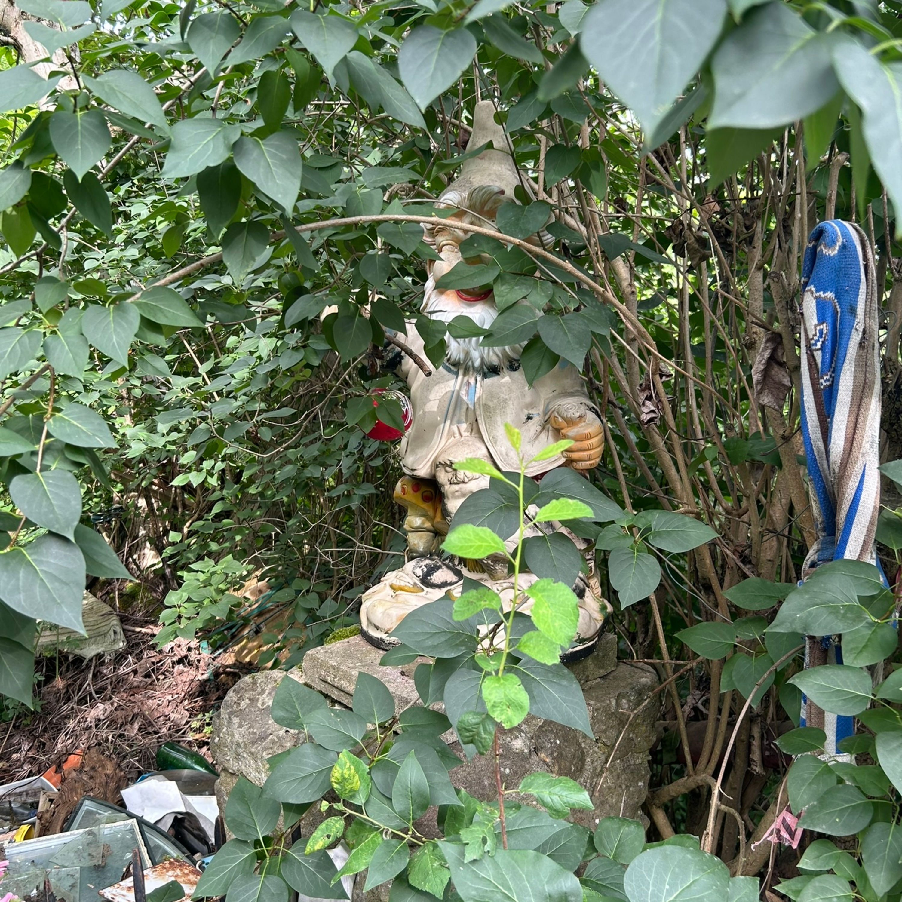 Der Gartenvertrag-Blackbox Gardening