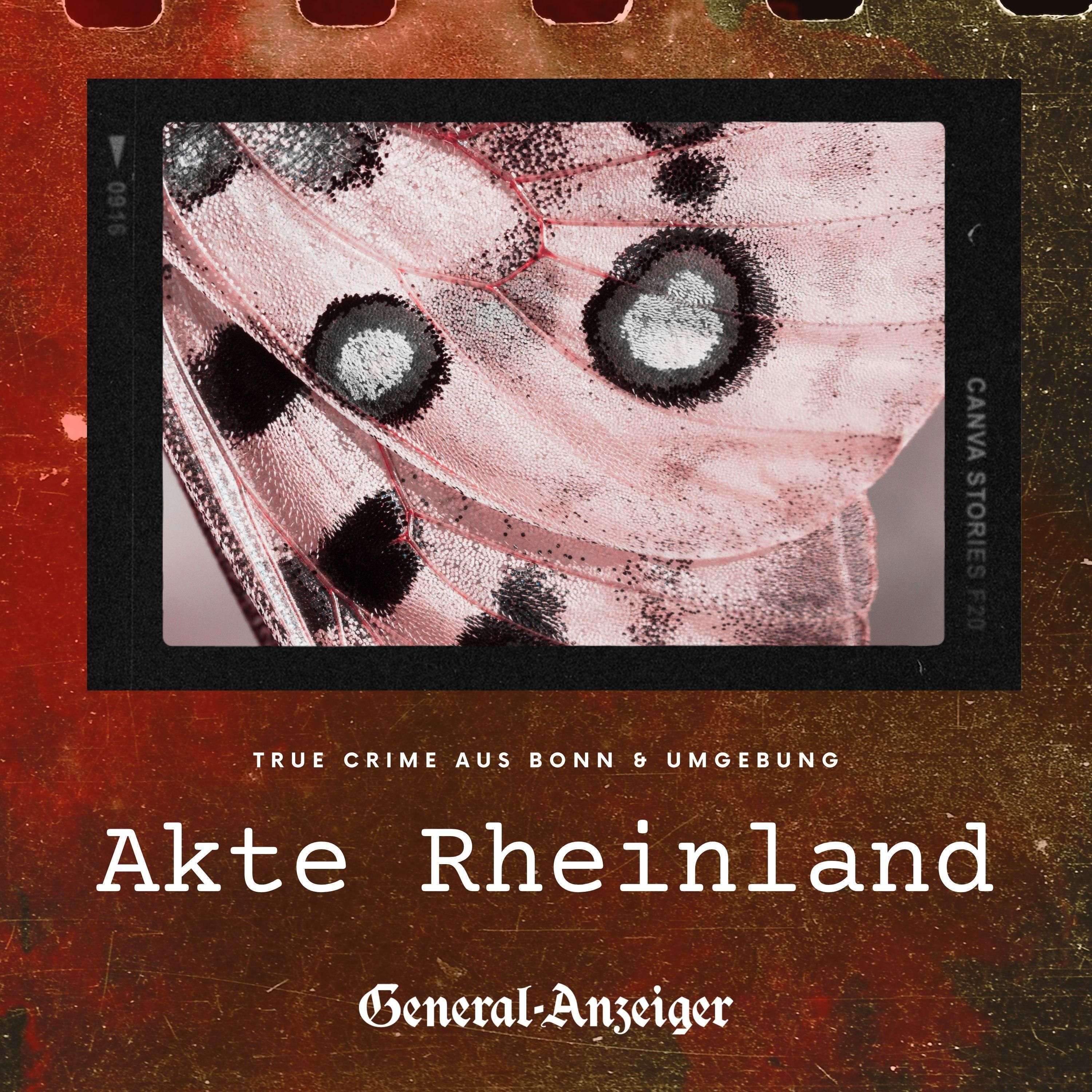 Der gestohlene Schmetterling