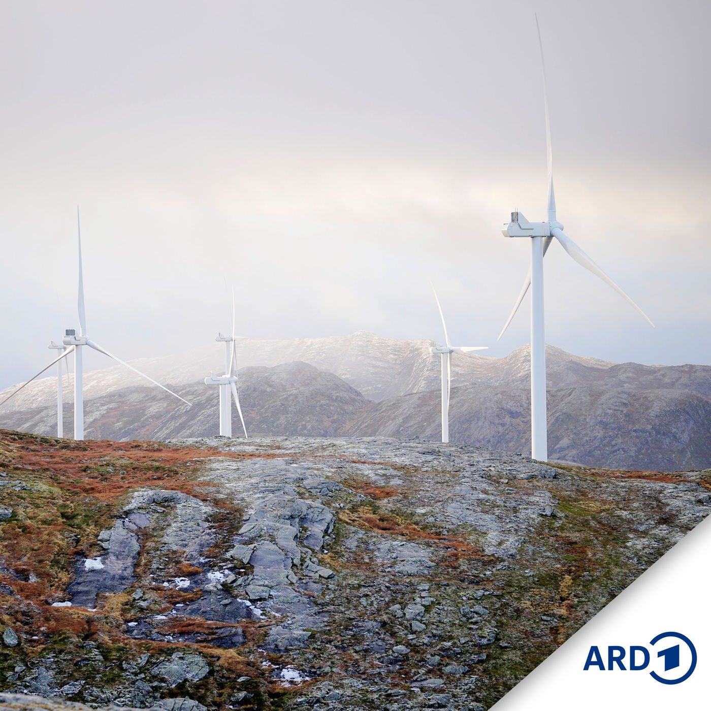 Der Joik des Windes – Norwegische Sámi kämpfen gegen Windkraftwerke