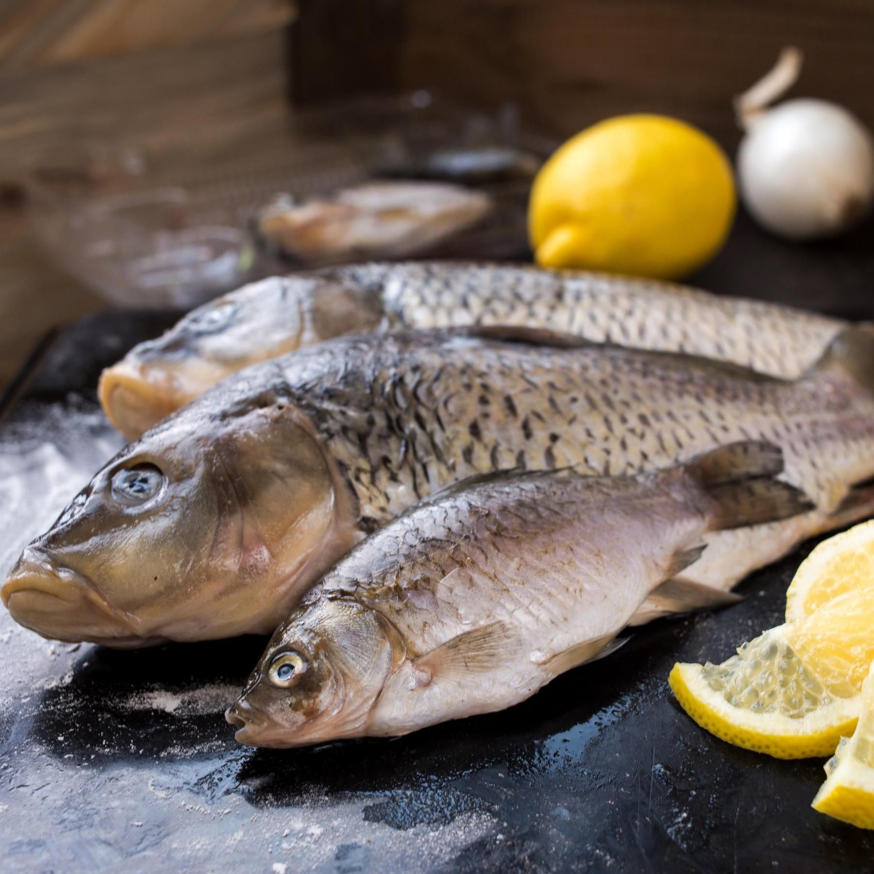 Der Karpfen - Ein traditioneller Speisefisch mit Zukunftschancen