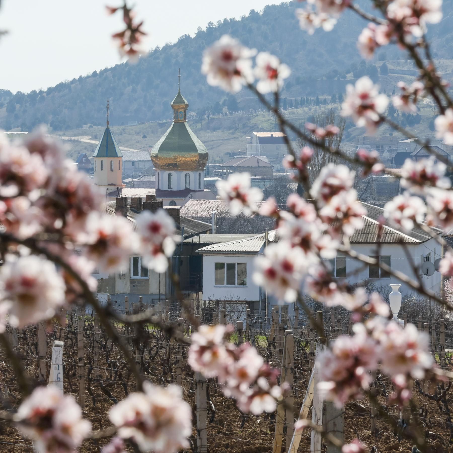 "Der Kirschgarten" von Anton Tschechow