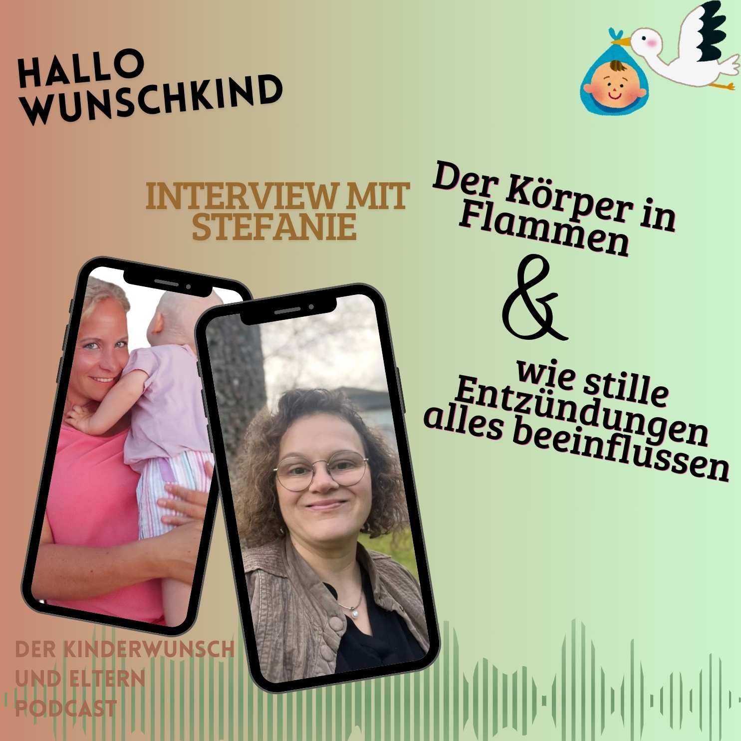 Der Körper in Flammen - wie Stille Entzündungen alles beeinflussen