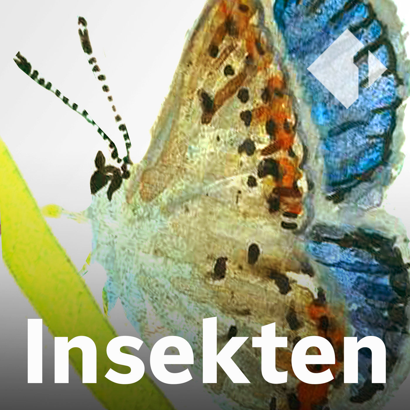 Der Kreuzenzian-Ameisenbläuling