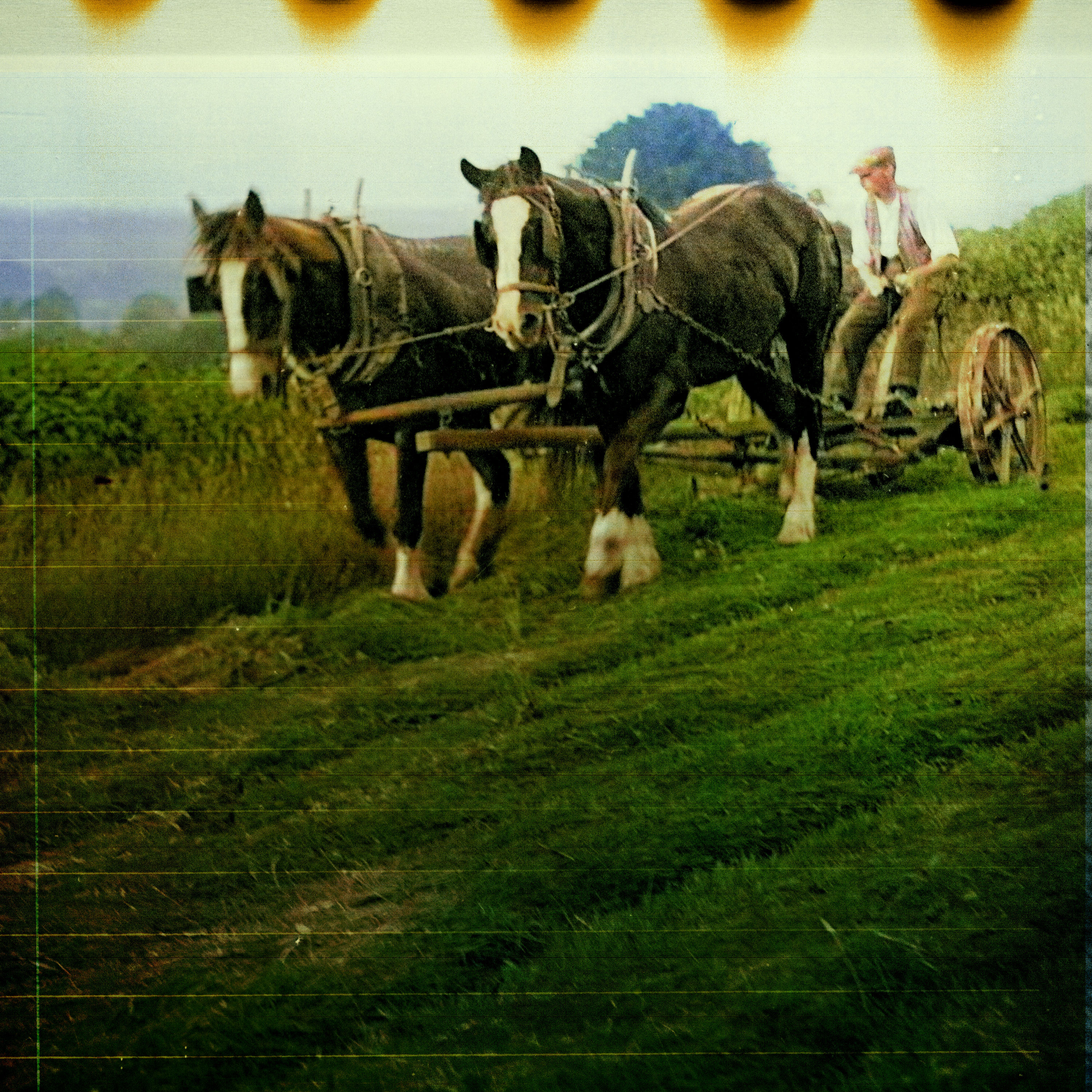 Der Ku’damm (5/41) | Unter dem Gras darüber