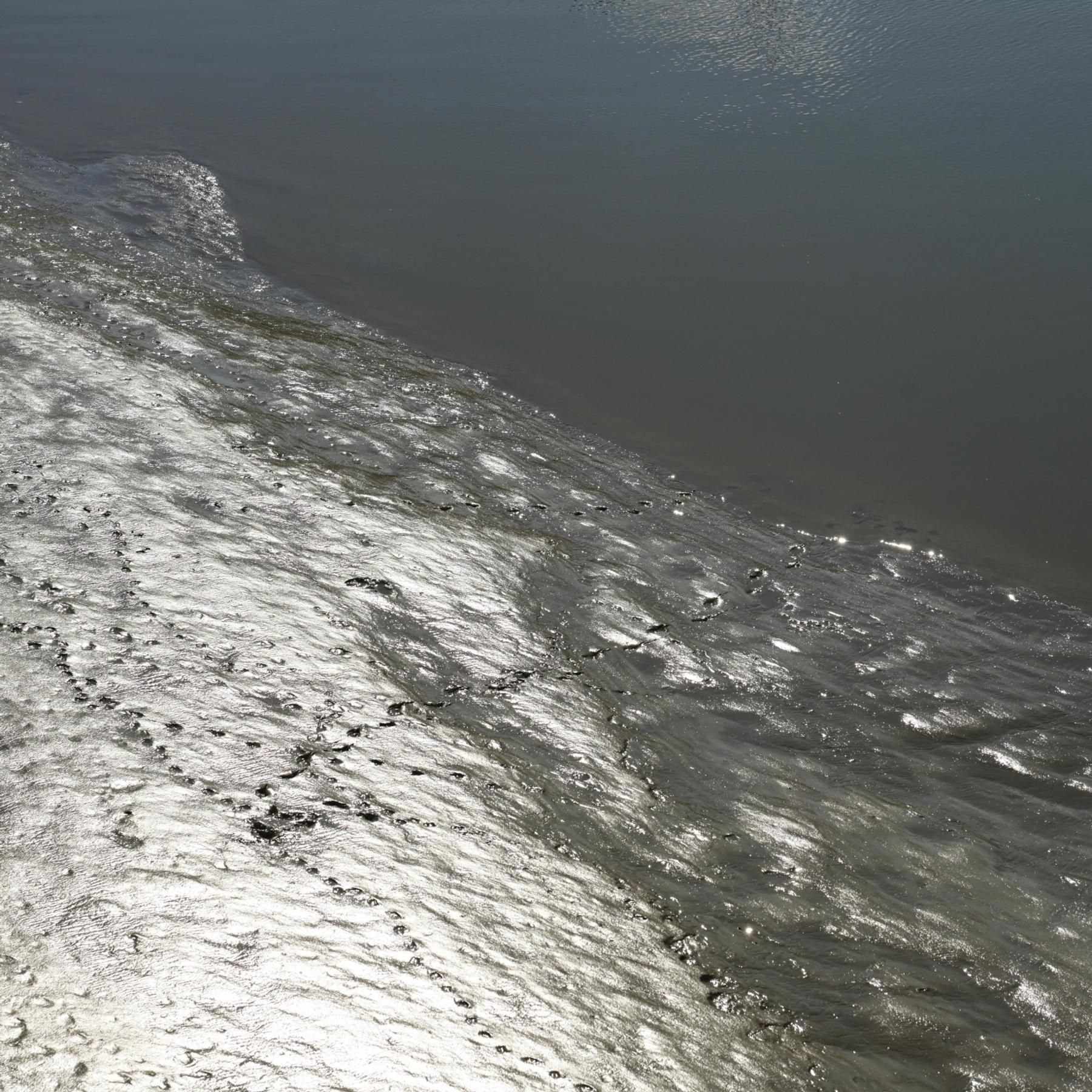 Der Meeresboden - Einzeller am Grunde des Ozeans