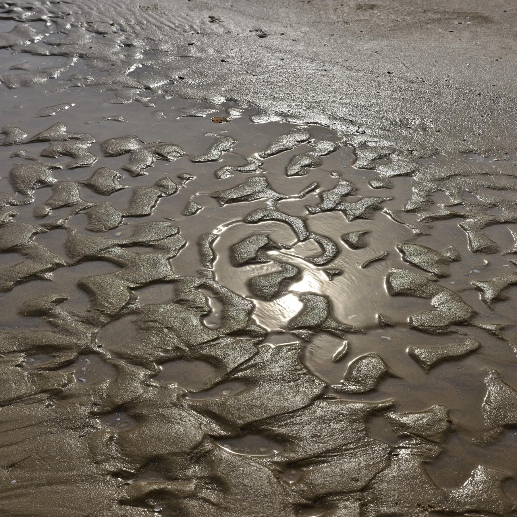 Der Meeresboden - Mikroorganismen am Grund des Ozeans
