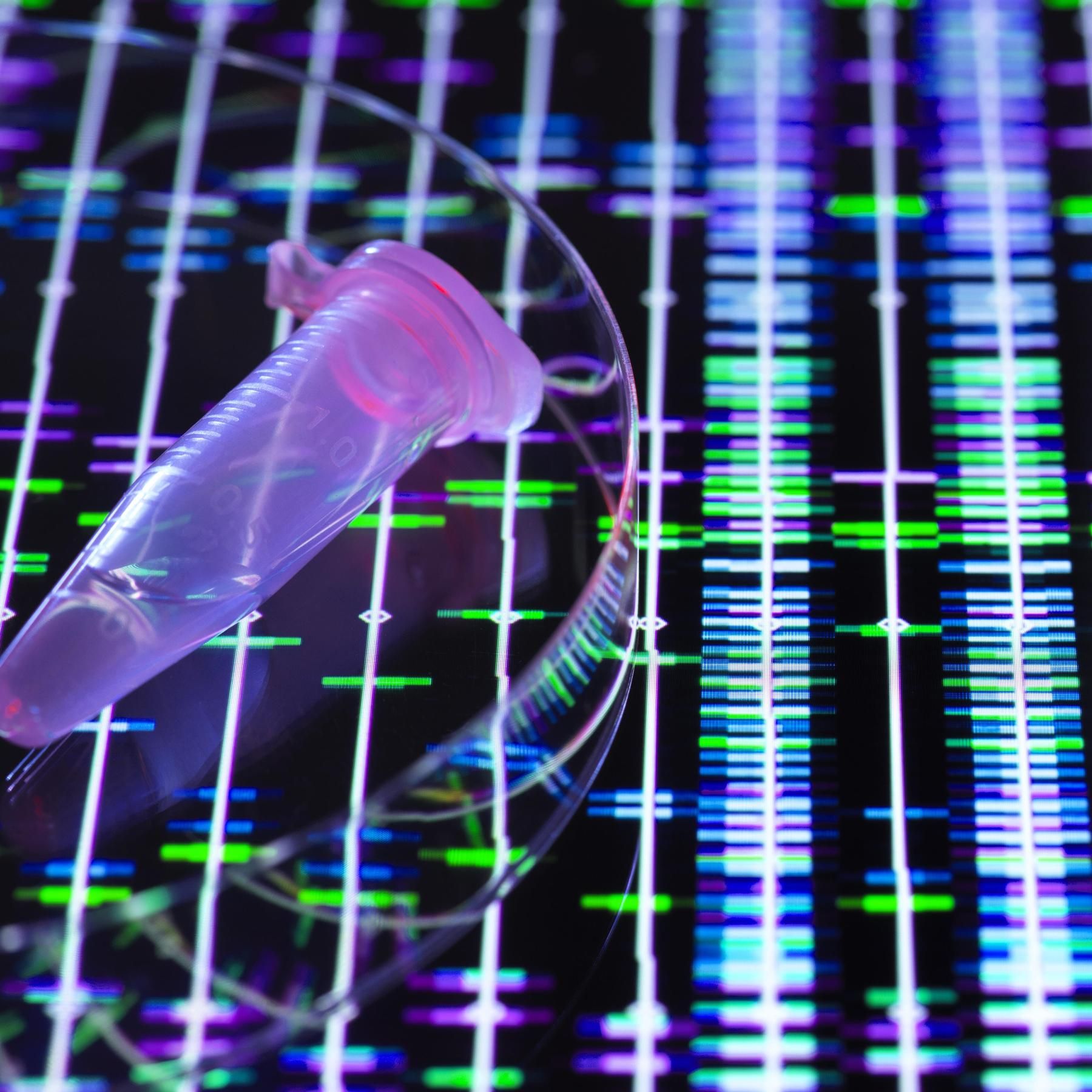 Der Mörder im Stammbaum - Ahnenforschungs-DNA als Supertool der Polizei?