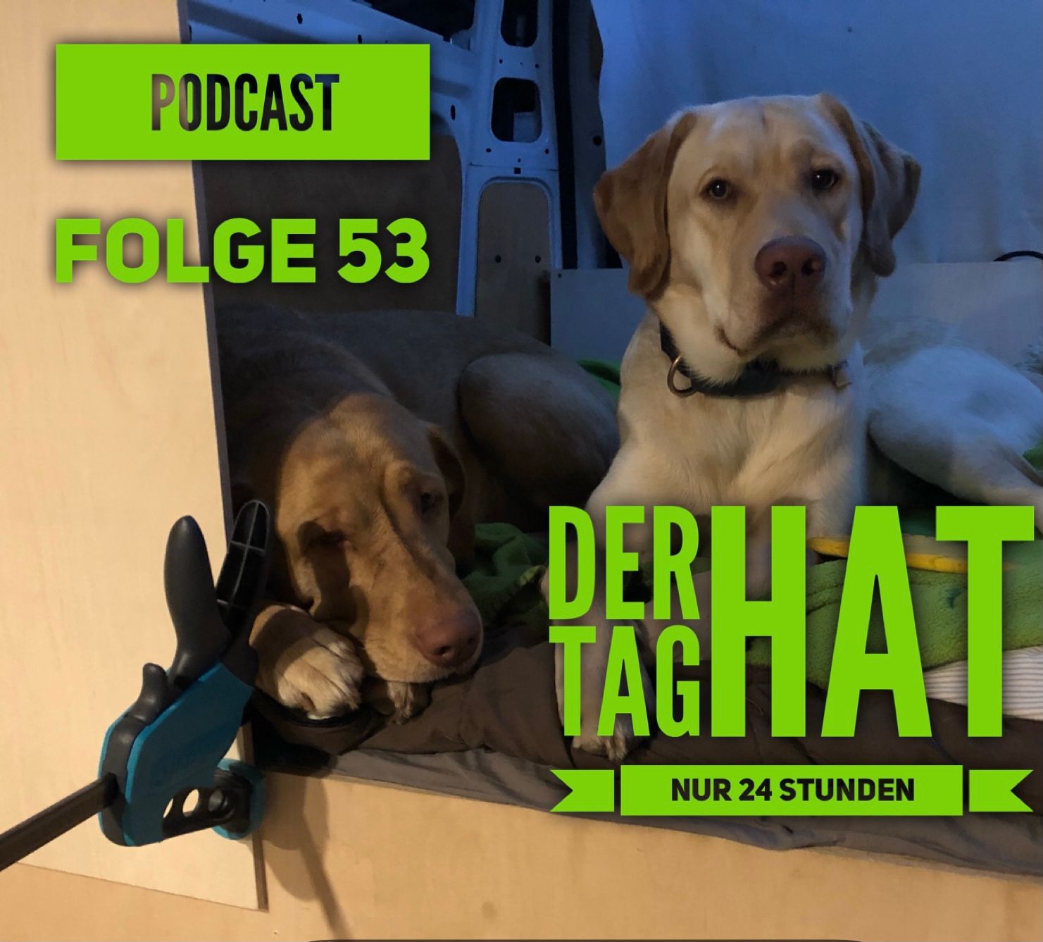 Der nächste Schritt ist... Der Tag hat nur 24 Stunden