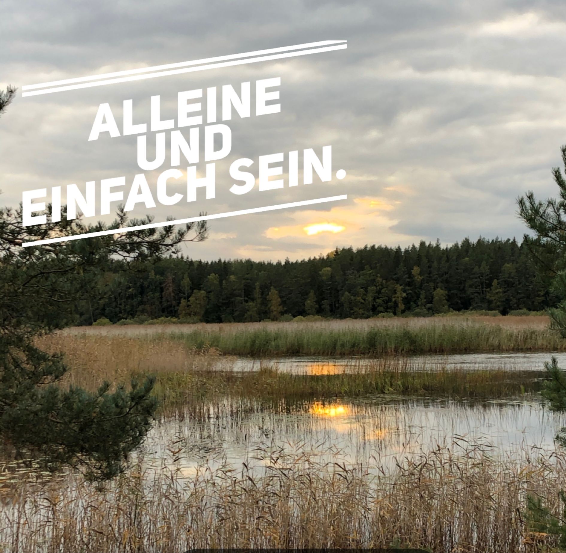 Der nächste Schritt ist... Mutter Seelen Alleine