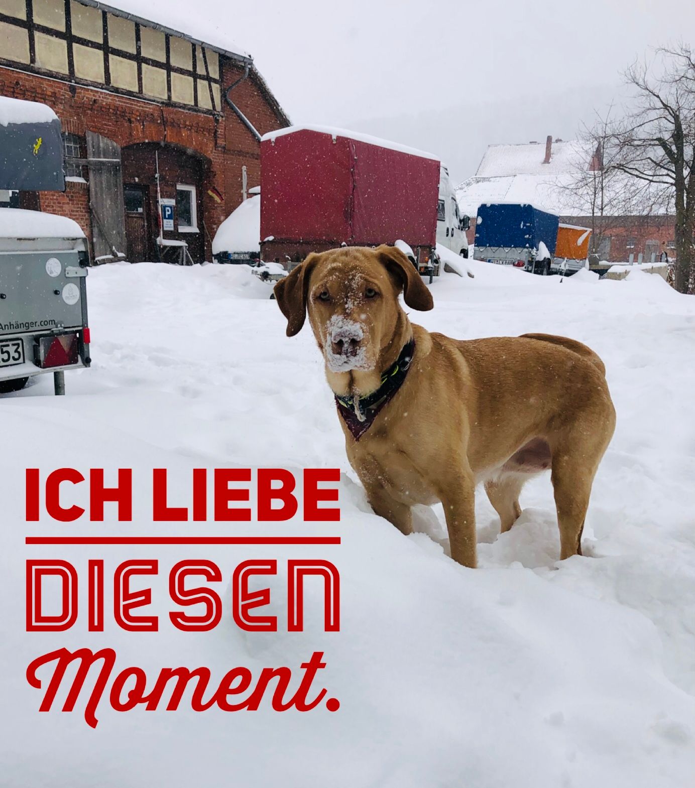 Der nächste Schritt ist...Ich liebe diesen Moment