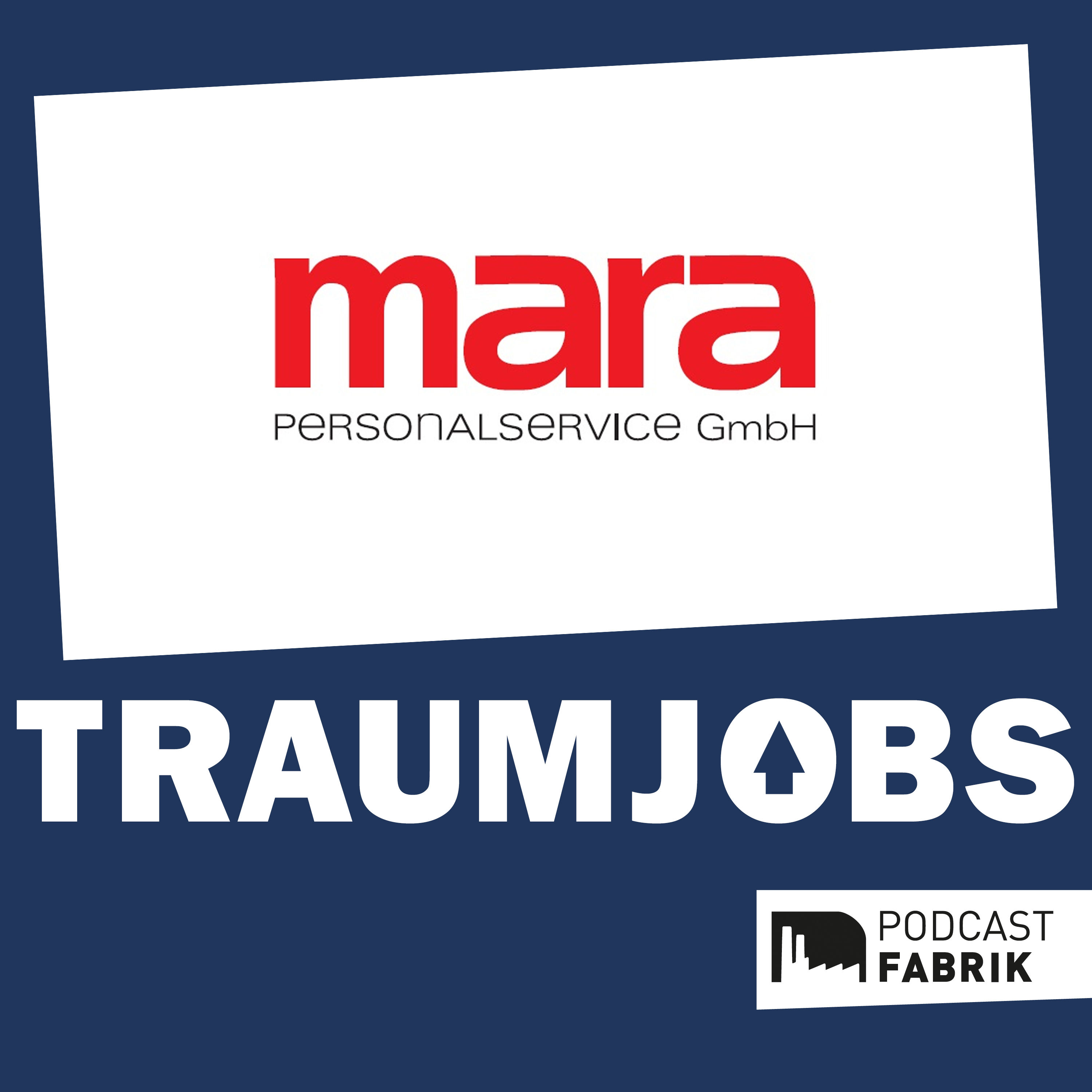 Der Personaldisponent #7