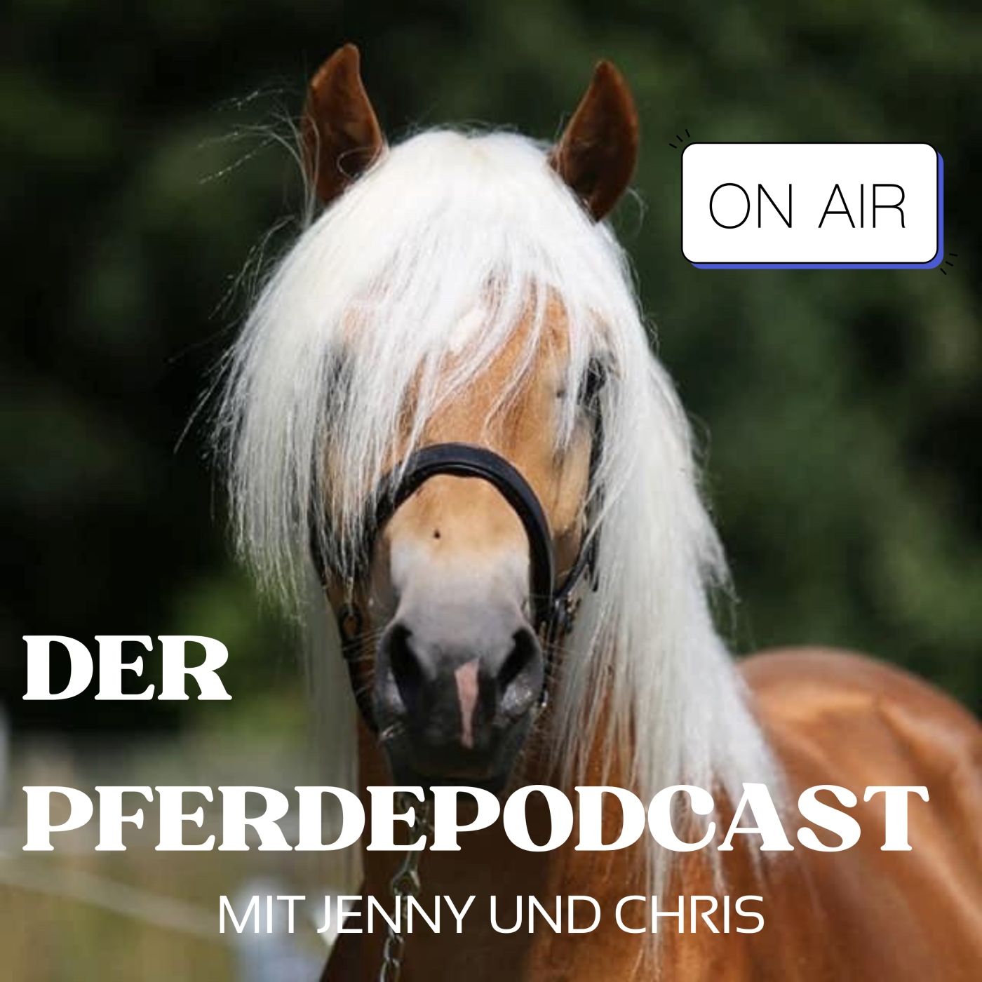 Der Pferdepodcast Podcast RTL 