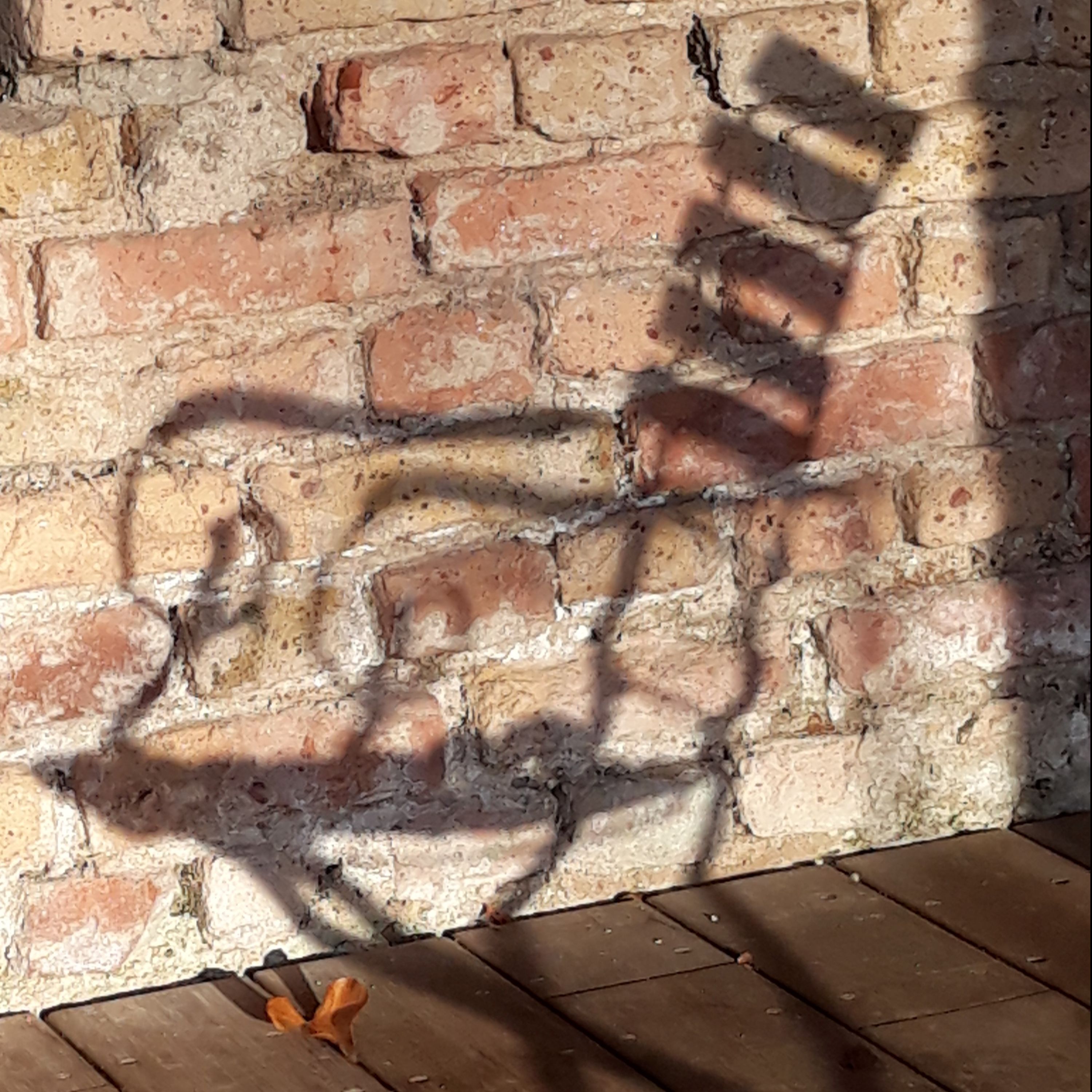 Der Podcast macht wegen einer Fortbildung Pause. Am Montag, den 9. März geht es hier weiter.