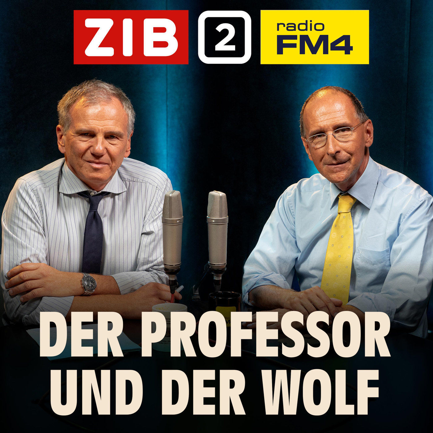 Der Professor und der Wolf: Der U-Ausschuss - Kontrolle oder Tribunal?
