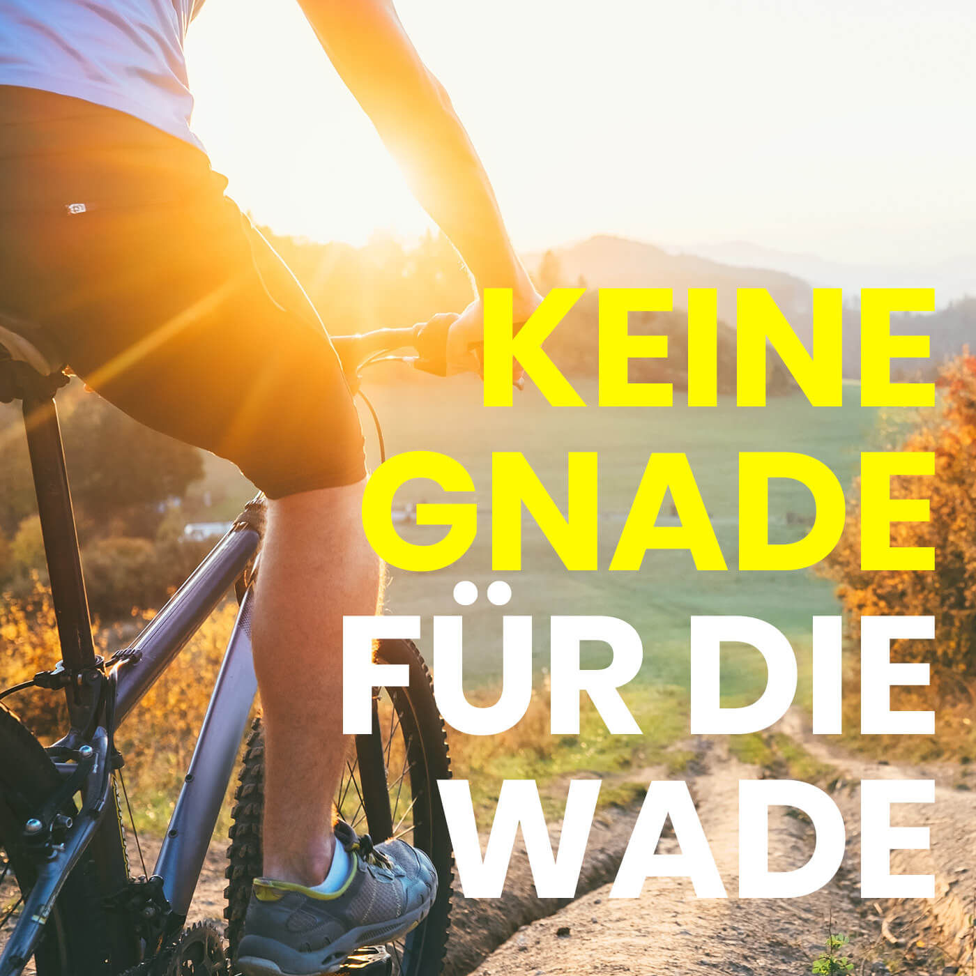 Der Radtourismus in Oberösterreich boomt