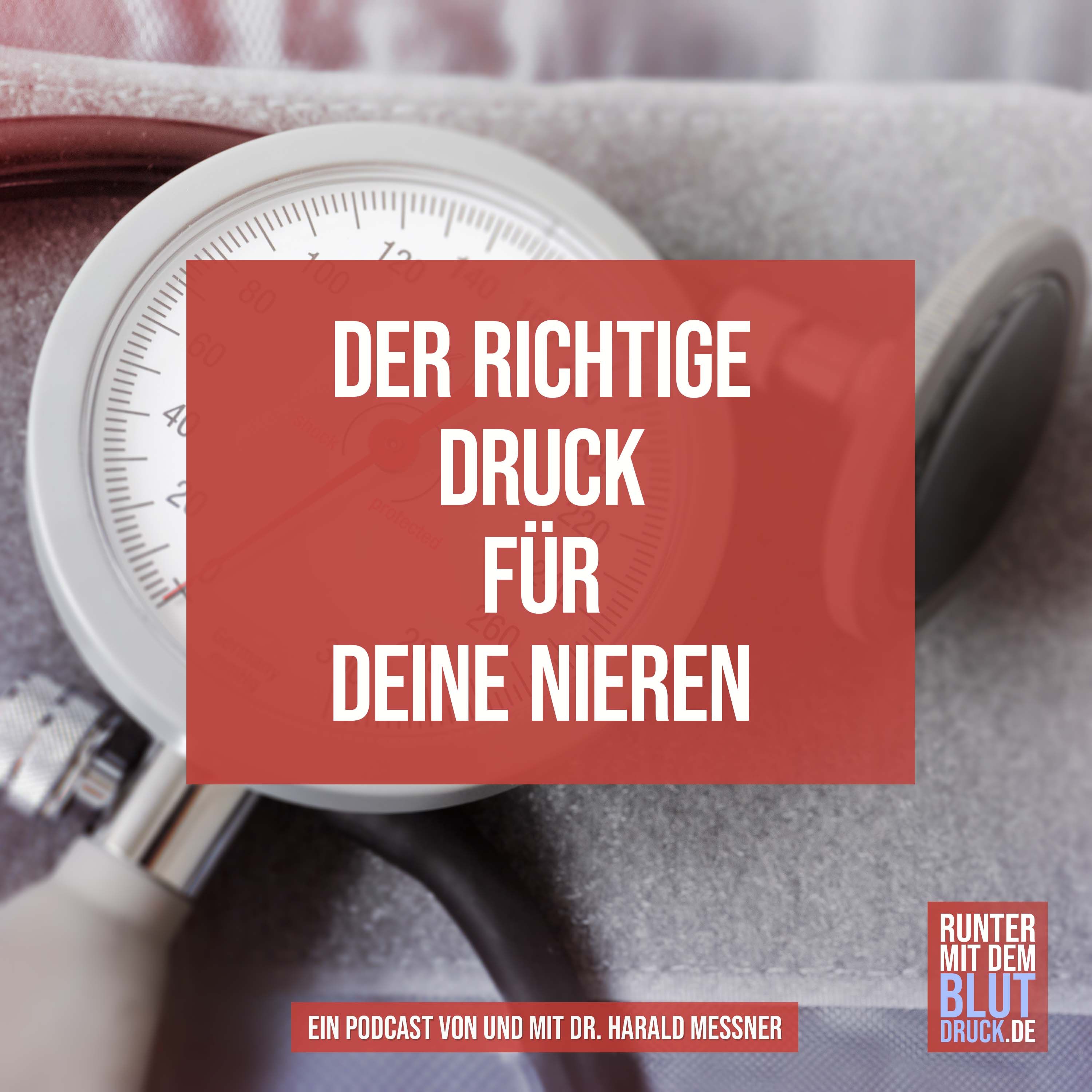 Der richtige Druck für deine Nieren