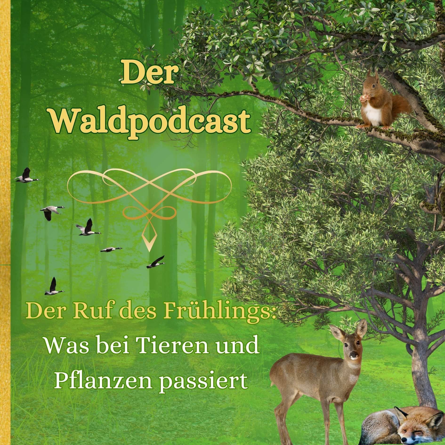 Der Ruf des Frühlings: Was bei Tieren und Pflanzen passiert