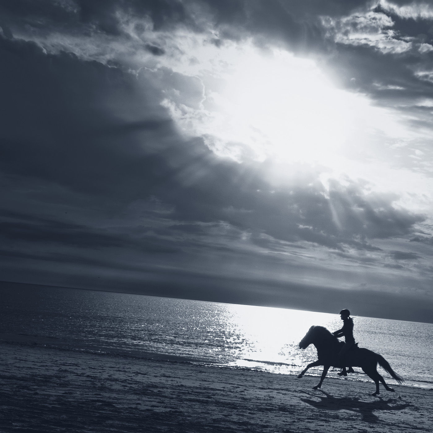 Der Schimmelreiter (2/2)