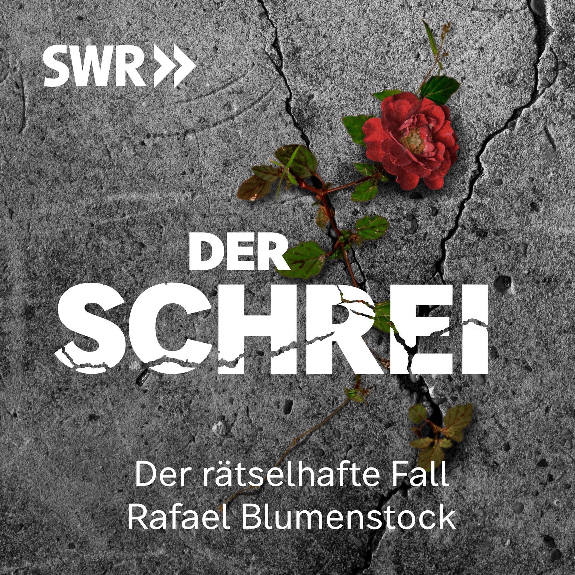 Der Schrei. Der rätselhafte Fall Rafael Blumenstock - Trailer