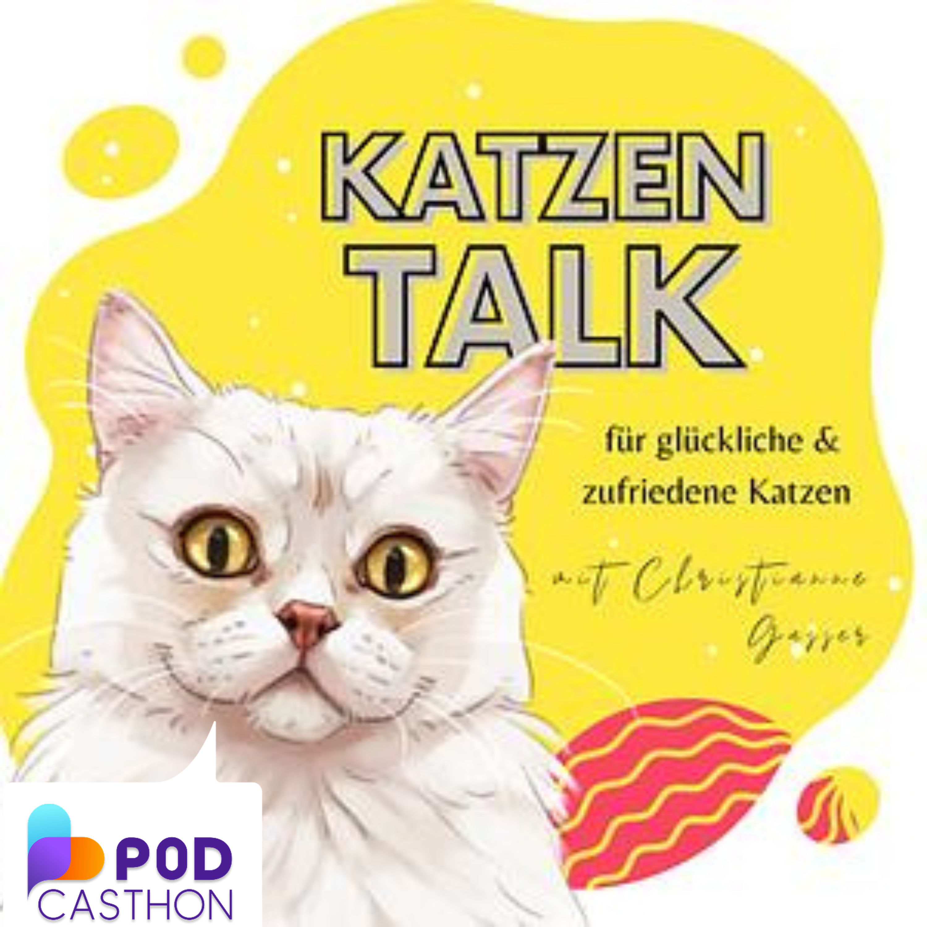 Der Start Button: Deine Katze entscheidet mit