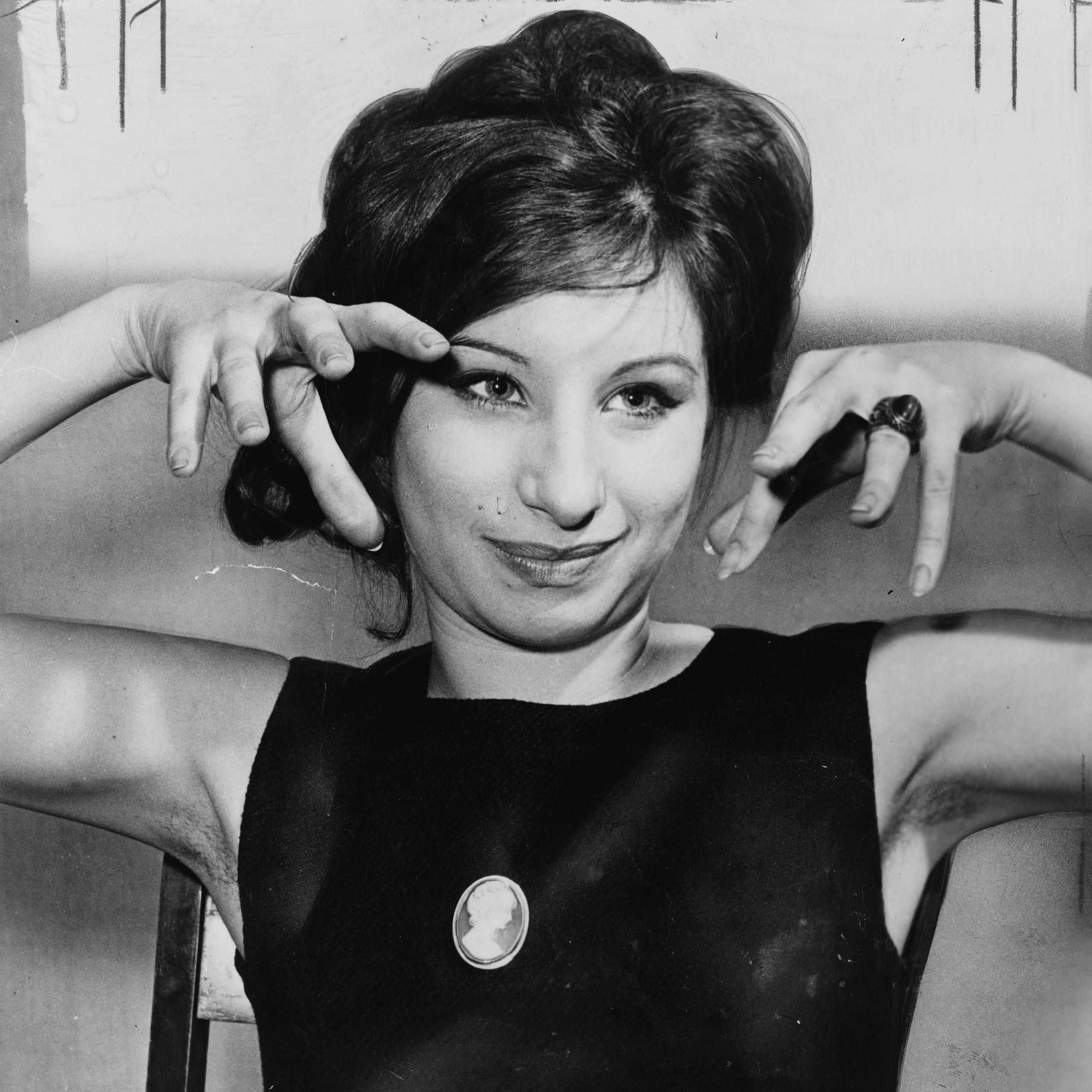 Der Streisand-Effekt. Oder: "Sich selbst ins Knie schießen" für Profis.