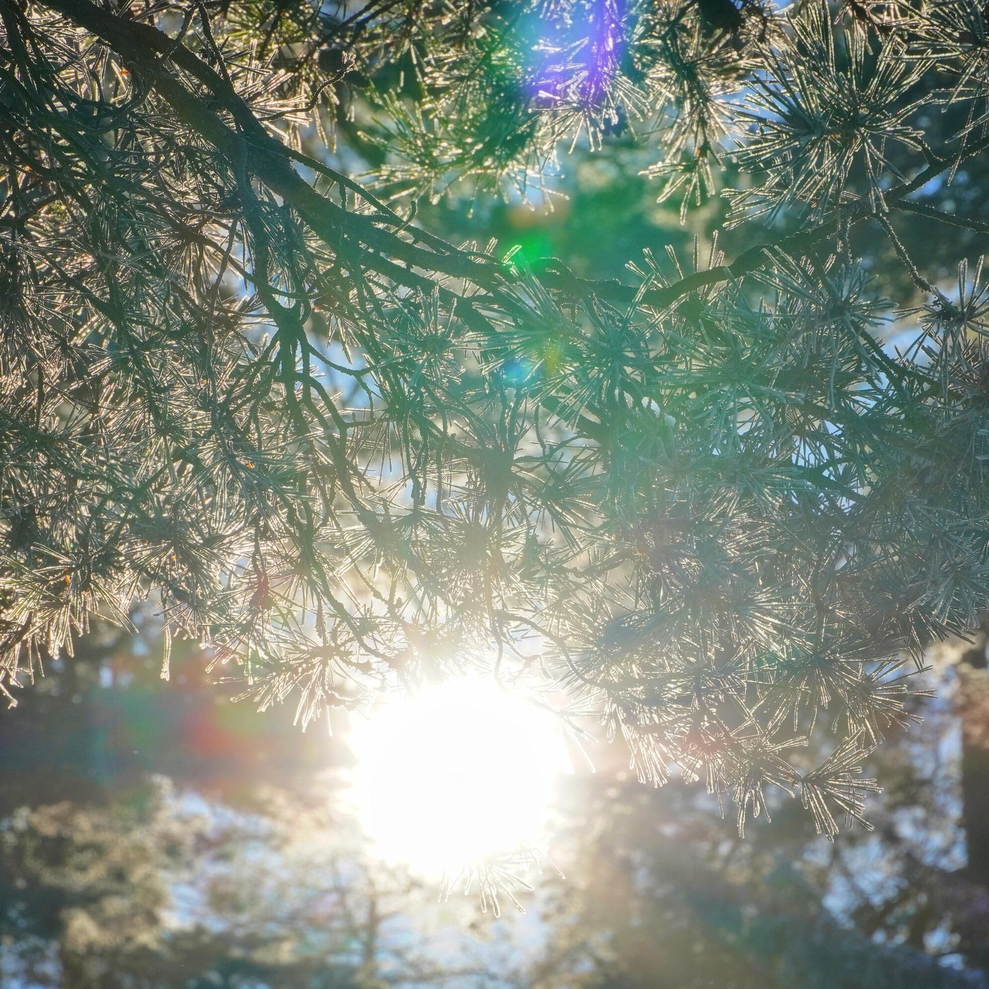 "Der Strompreis entkoppelt sich vom Gaspreis - das ist eine grundlegende Veränderung" | Leonhard Gandhi (Energy-Charts)