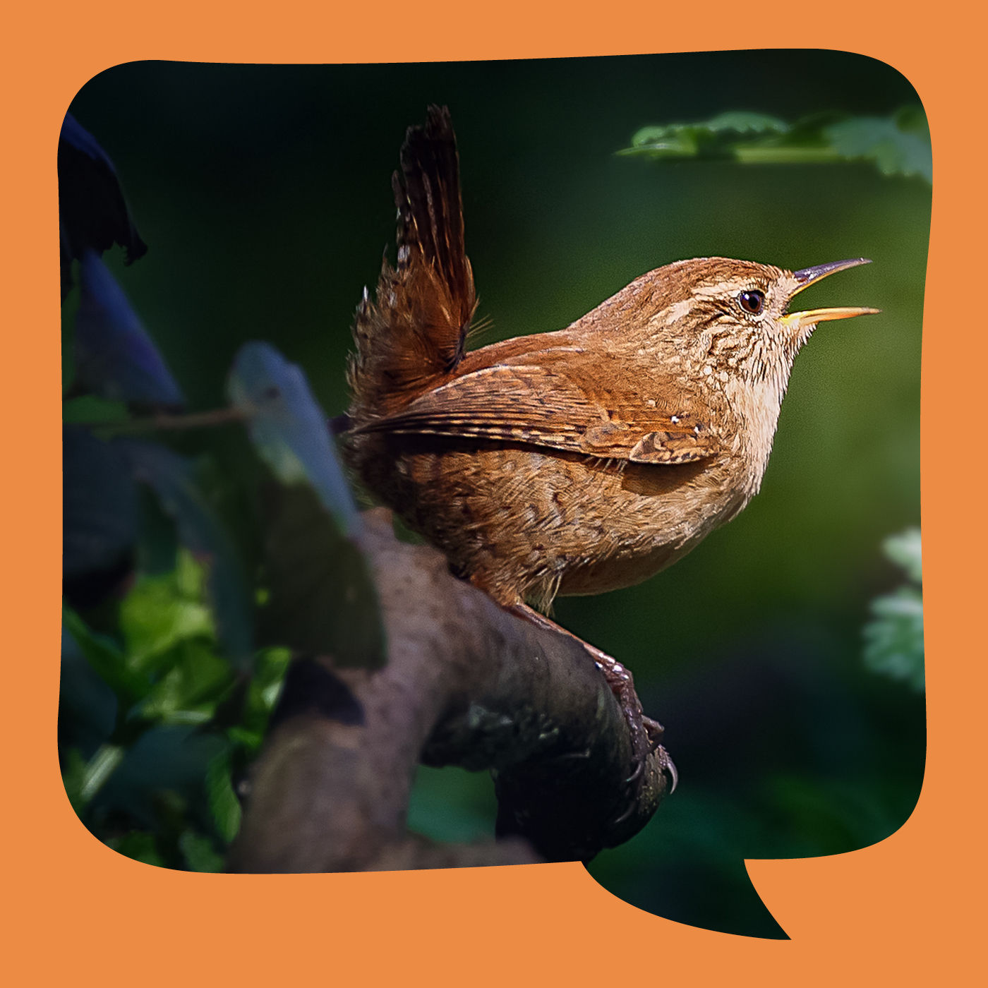 Der Sturm | aus der Überlieferung | erzählt von Gudrun Rathke