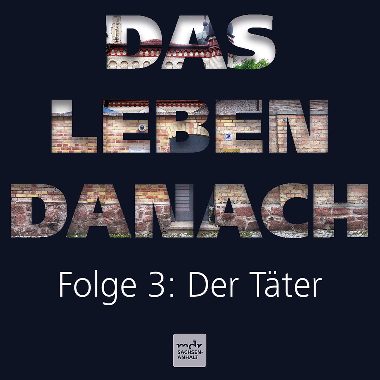Der Täter