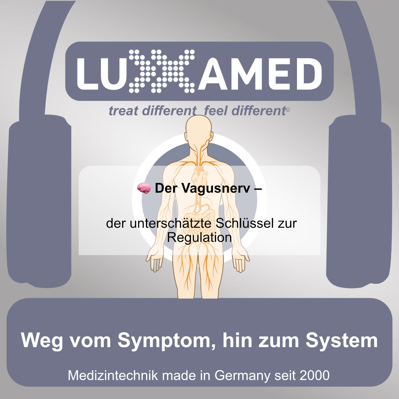 Der Vagusnerv