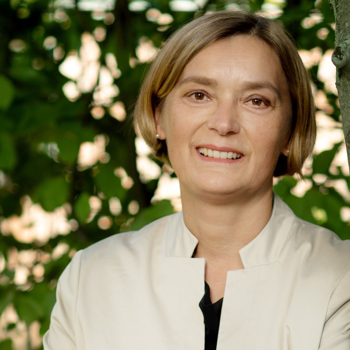 Der Wald ist Klimaschützer
