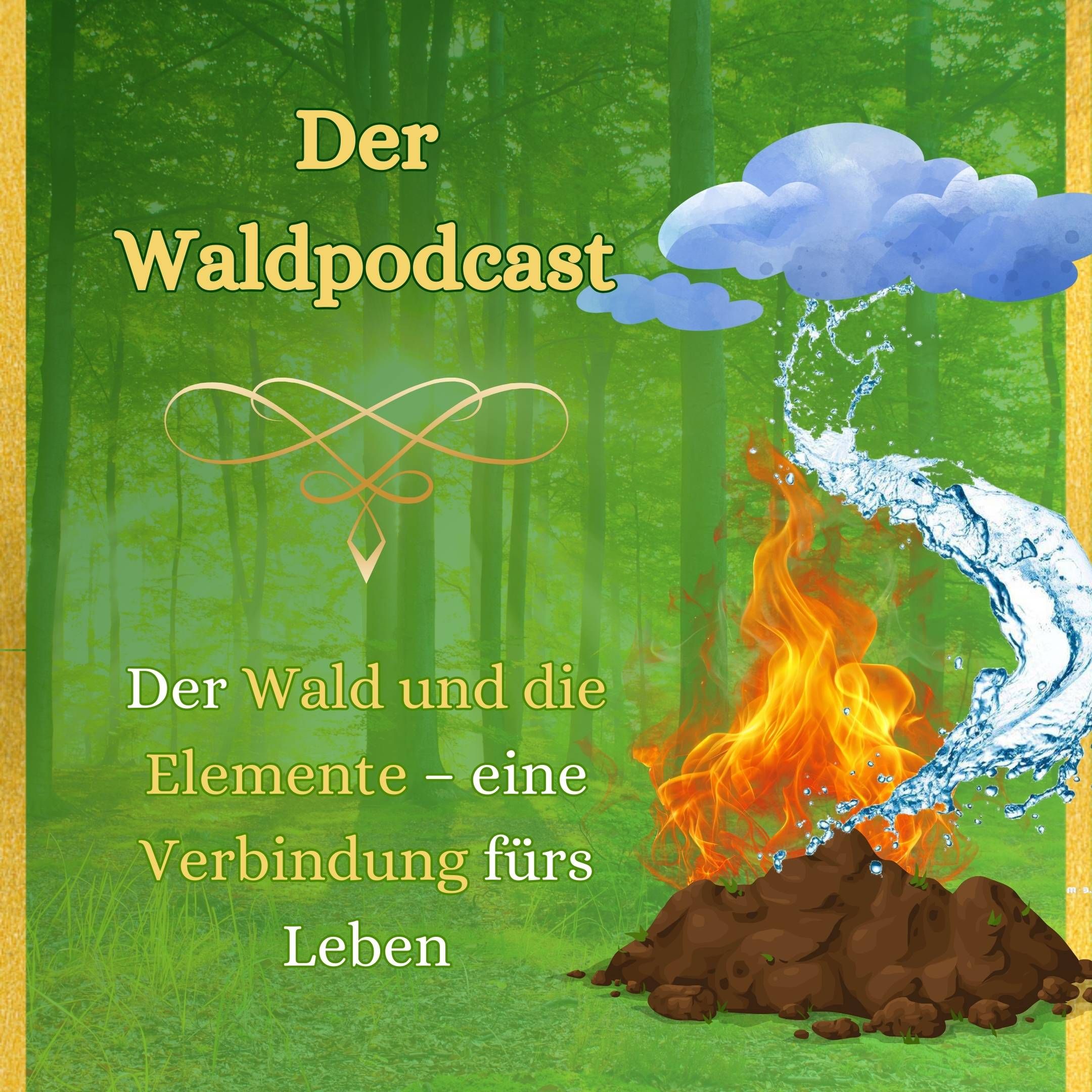Der Wald und die Elemente – eine Verbindung fürs Leben