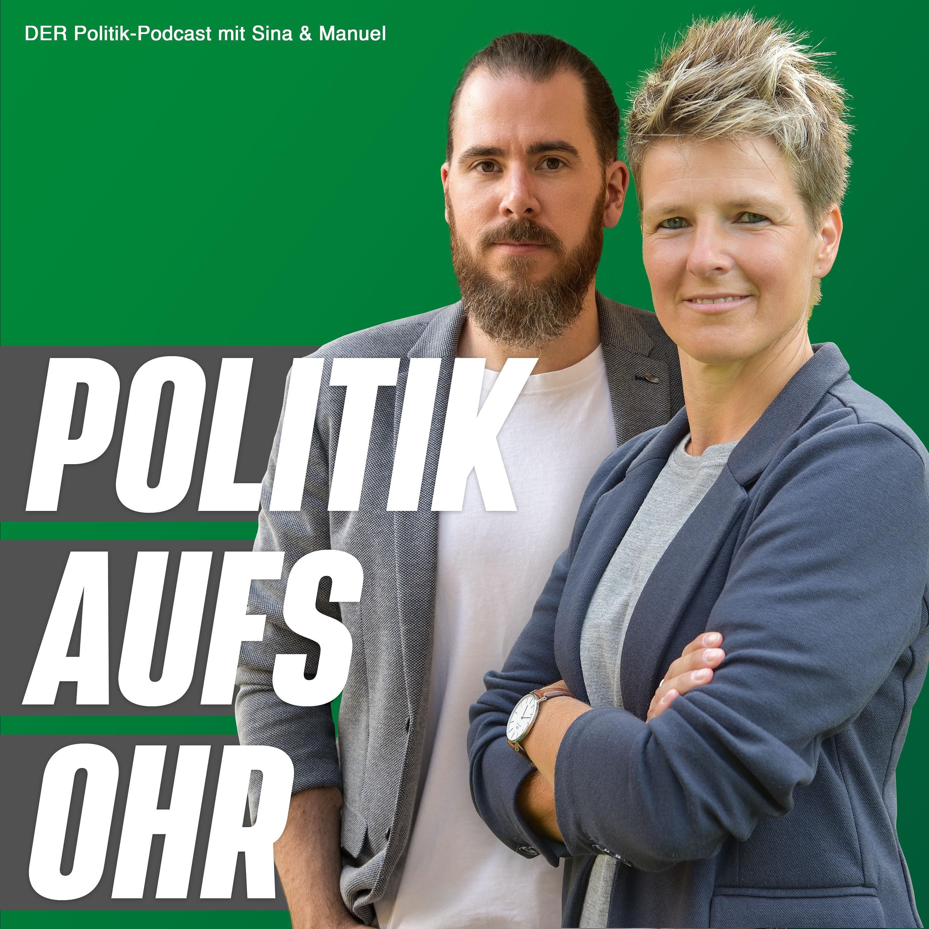 Der Weg in die Politik