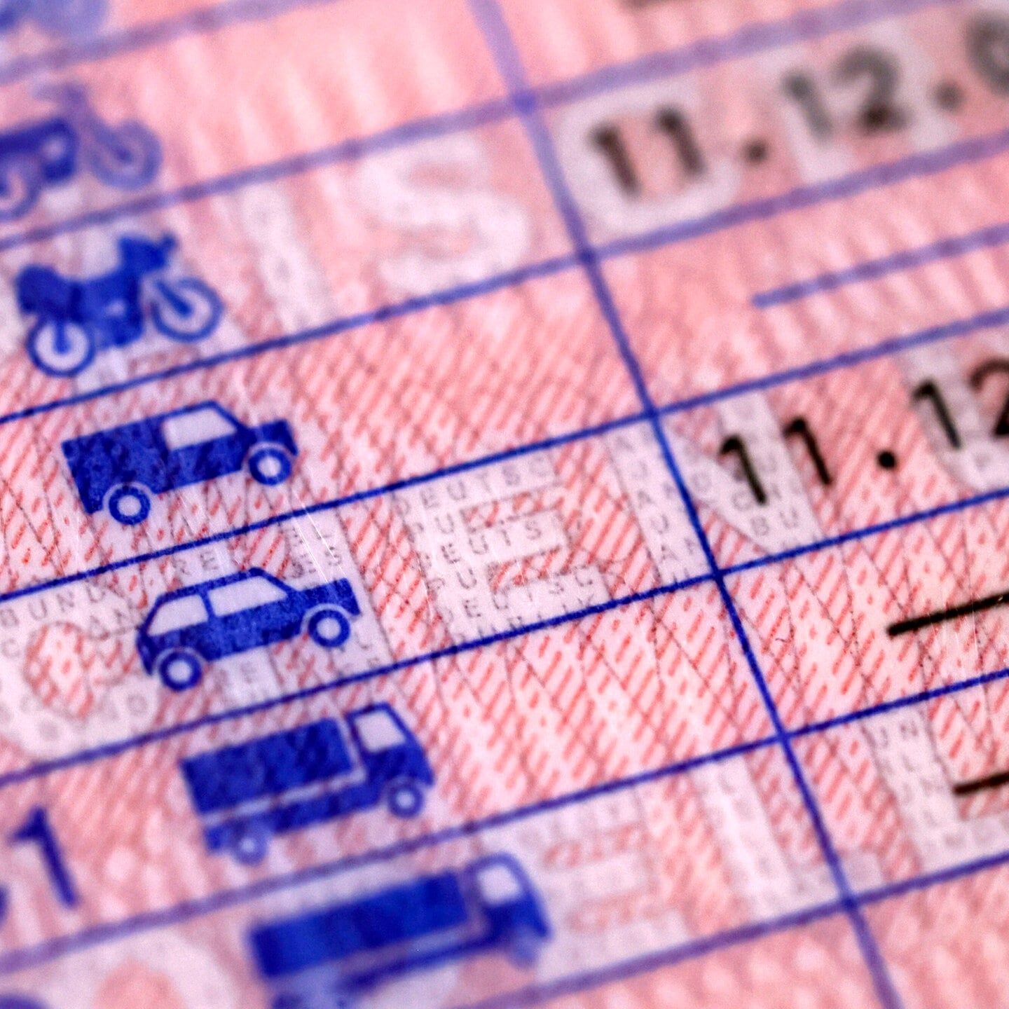 Der Weg ist das Ziel – bessere Standards beim Führerschein in der EU