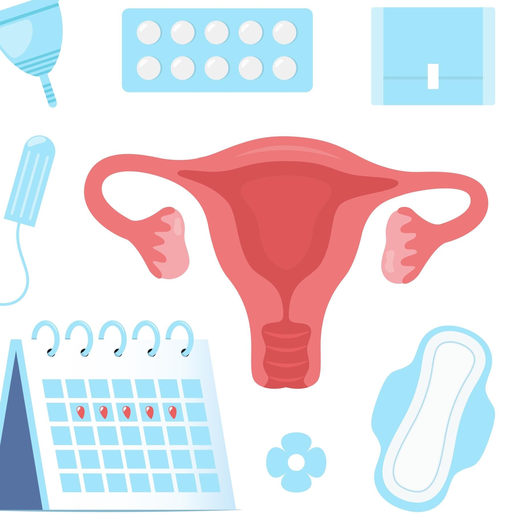 Der weibliche Zyklus - Lebenskreislauf im Verborgenen