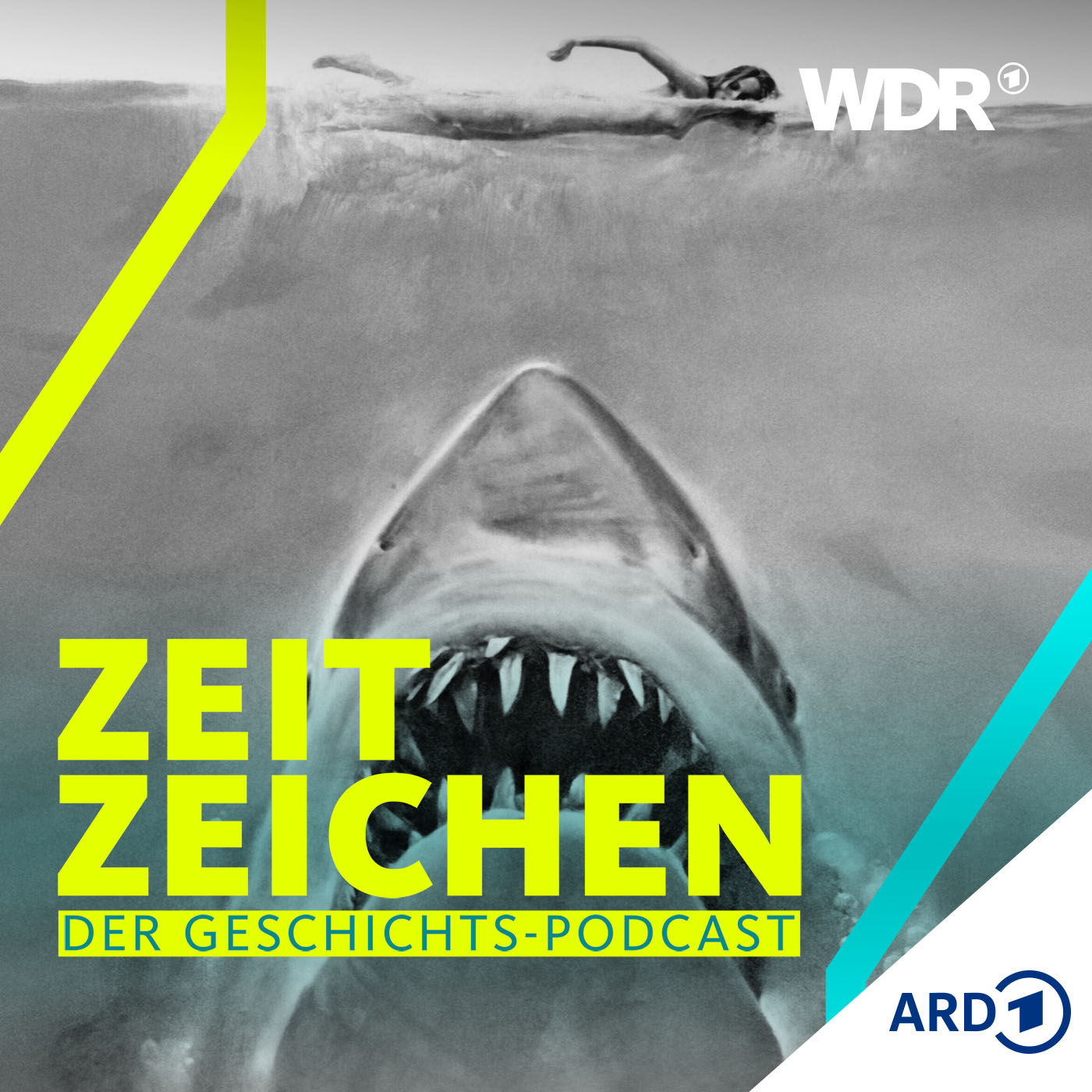 "Der weiße Hai": Urängste im Kinosaal