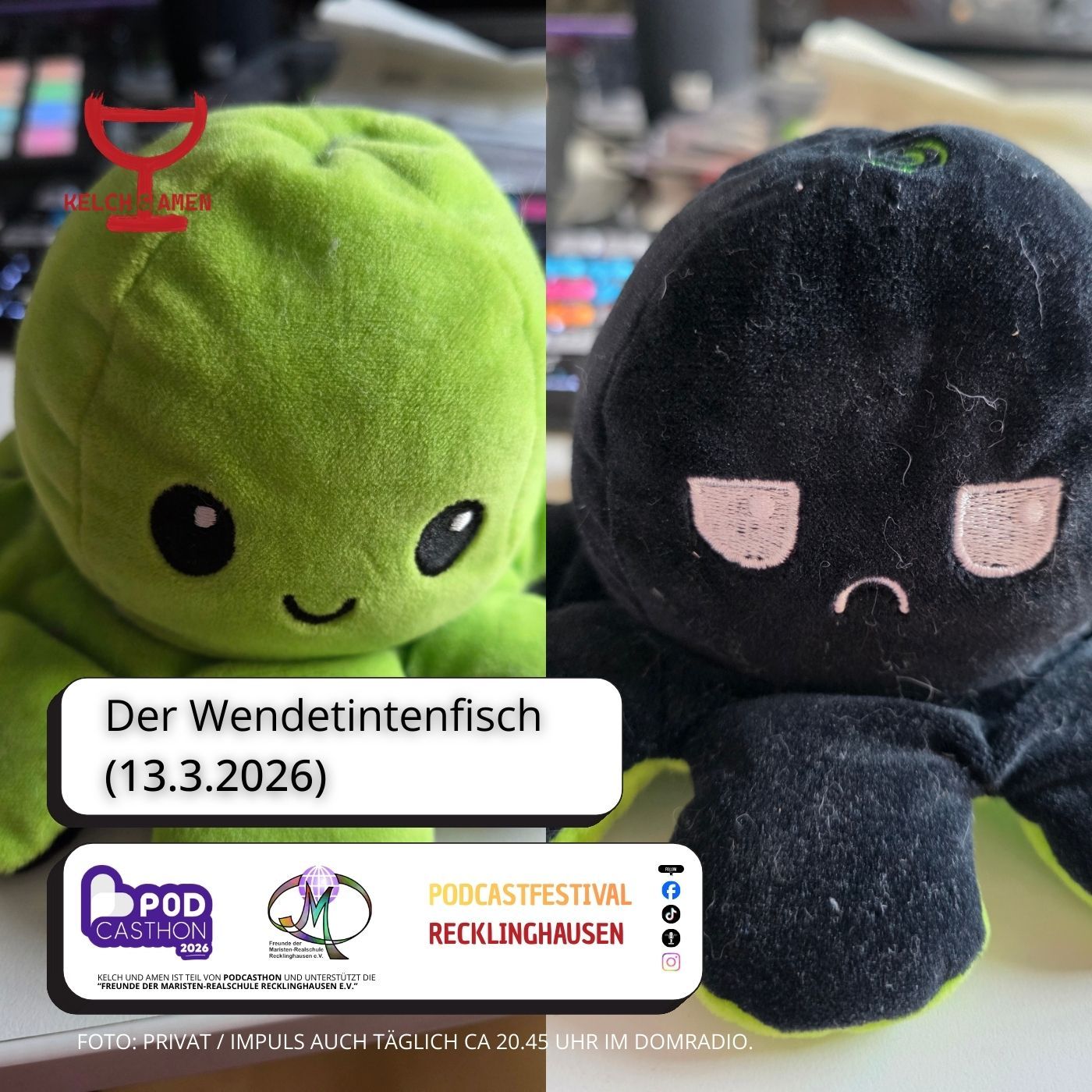 Der Wendetintenfisch (13.3.2026)