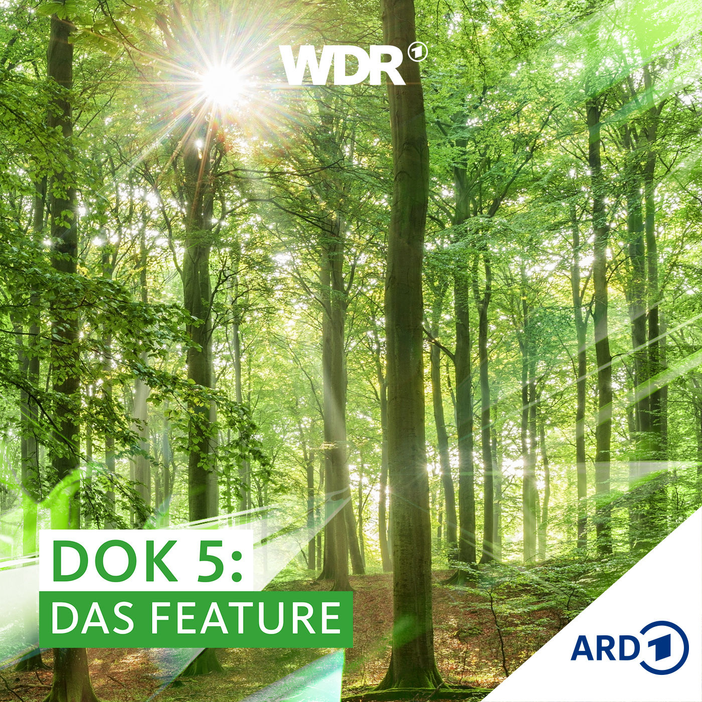 Der Wert des Waldes - Deutsche Forstwirtschaft im Klimawandel