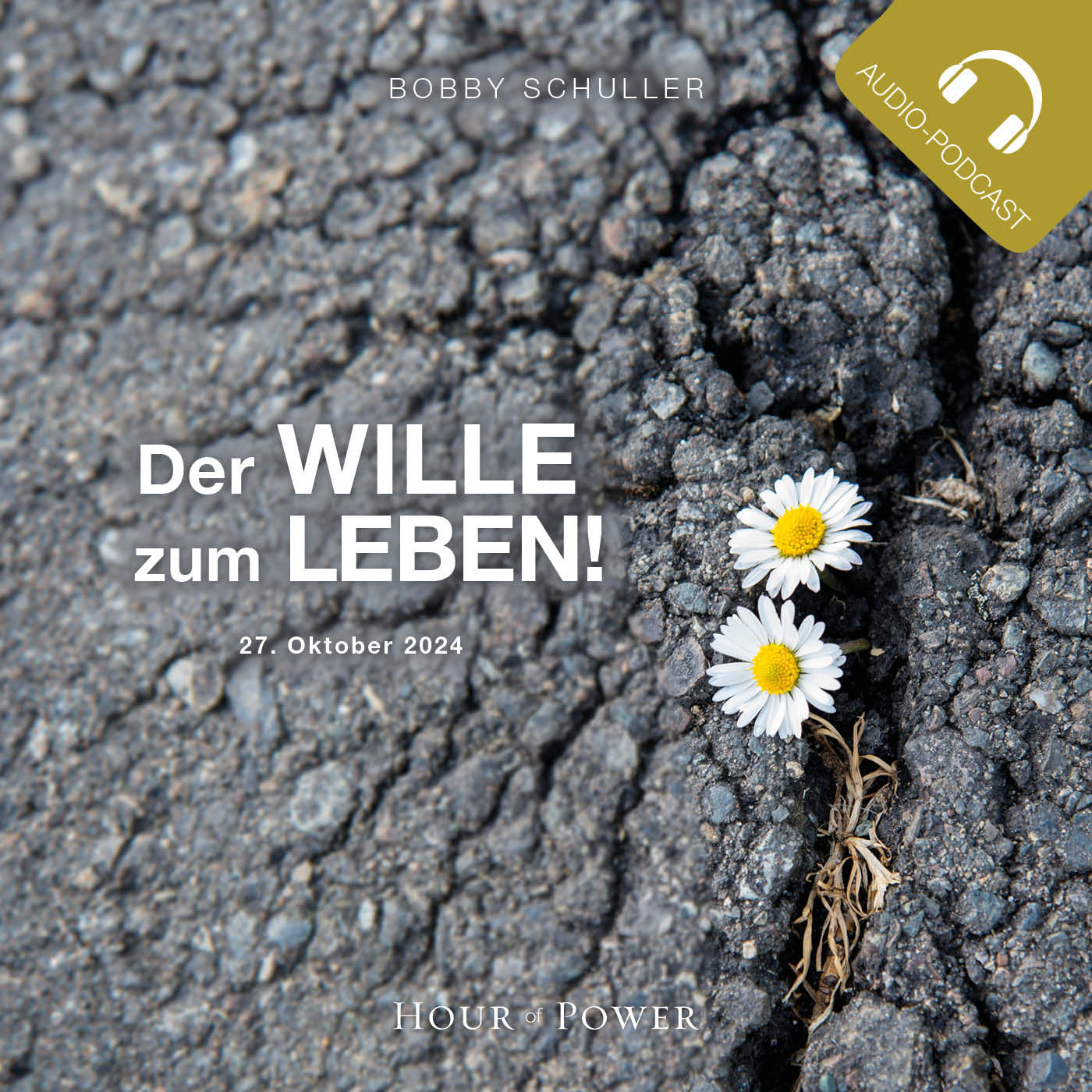 Der Wille zum Leben! - Predigt von Bobby Schuller