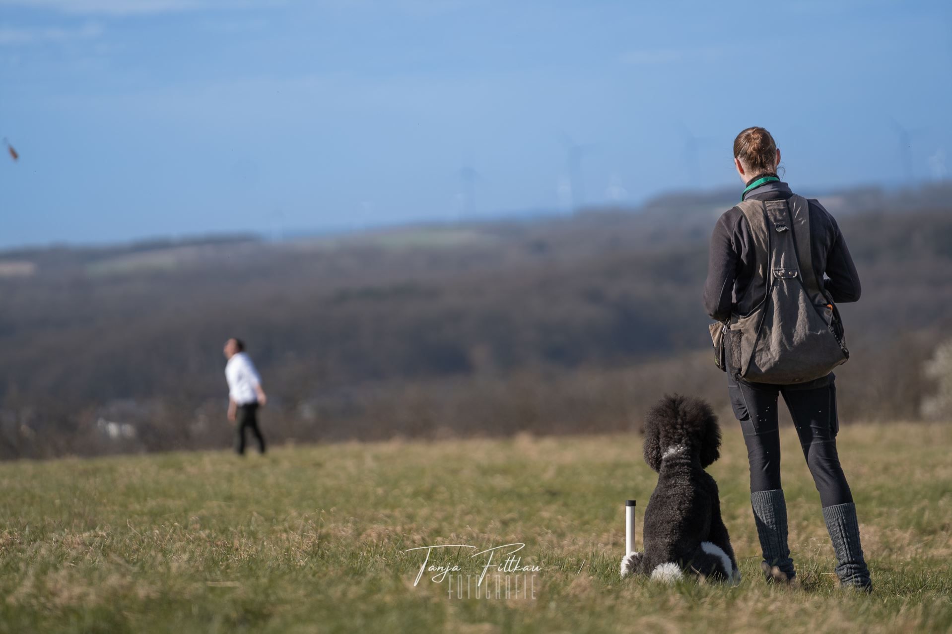 Des Pudels Dummyprüfung und Working Test