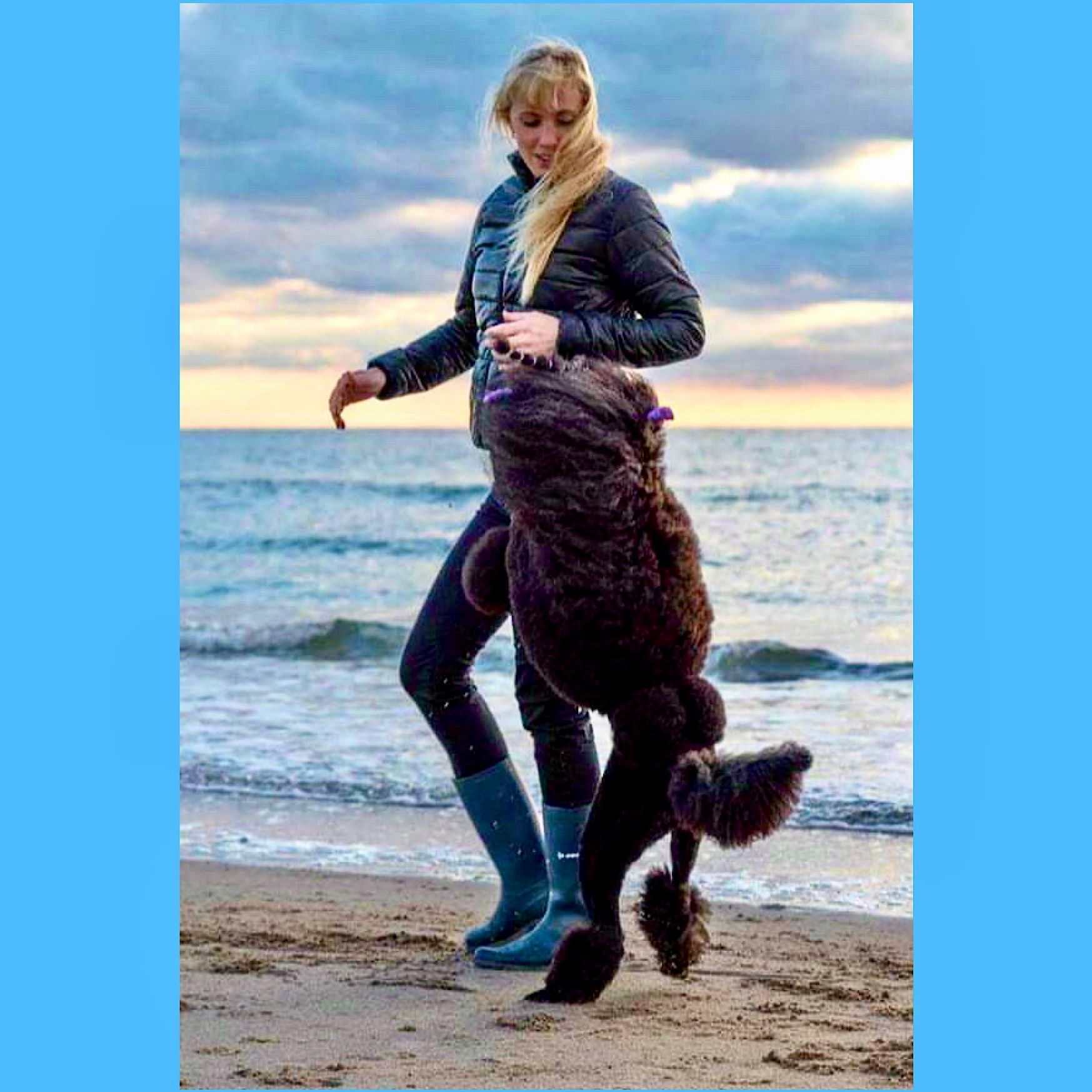 Des Pudels Grooming Champion.