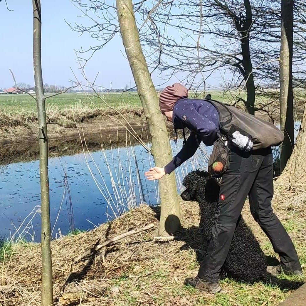 Des Pudels Jagdleidenschaft.